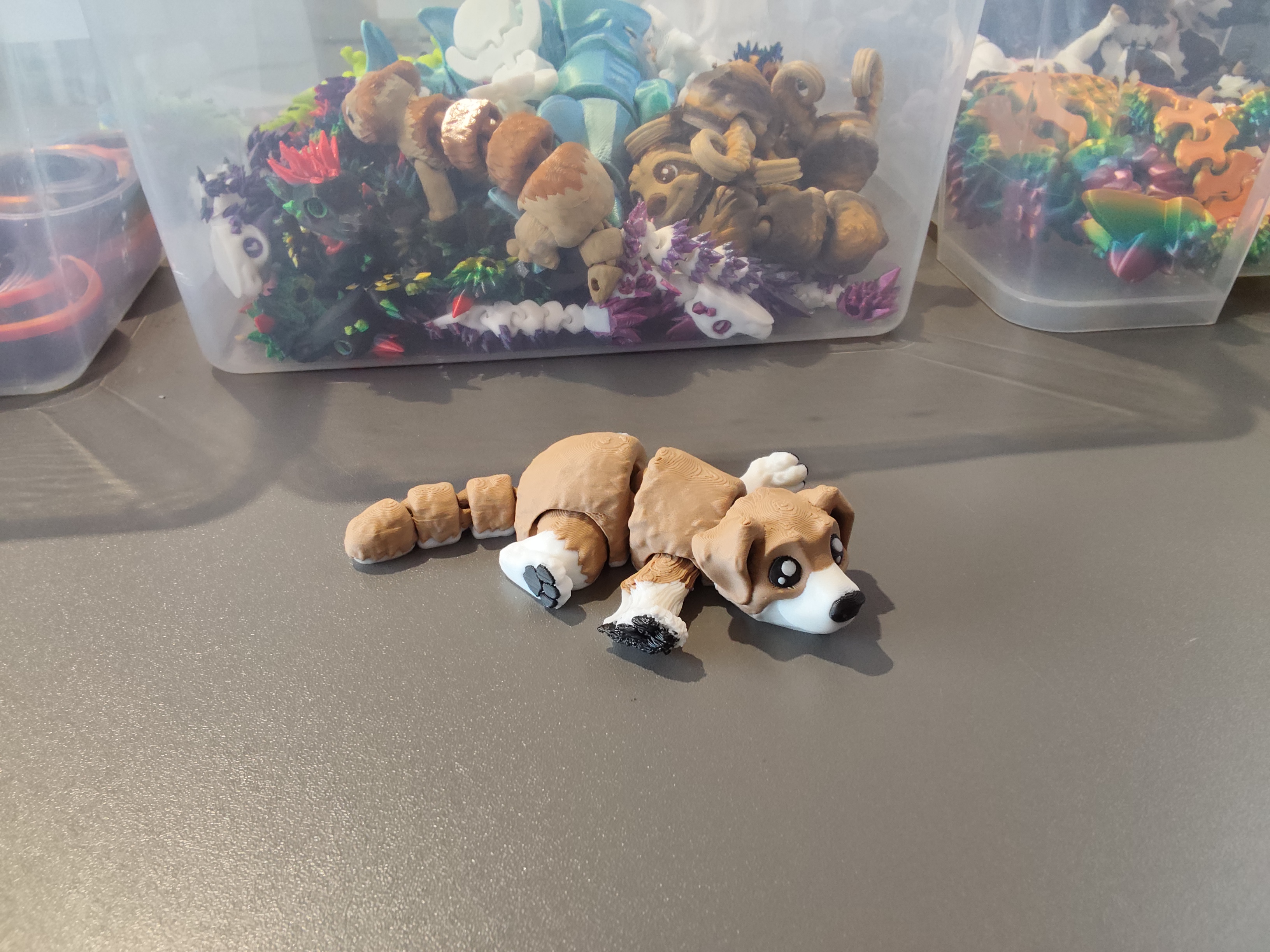 Šuniukas su defektu