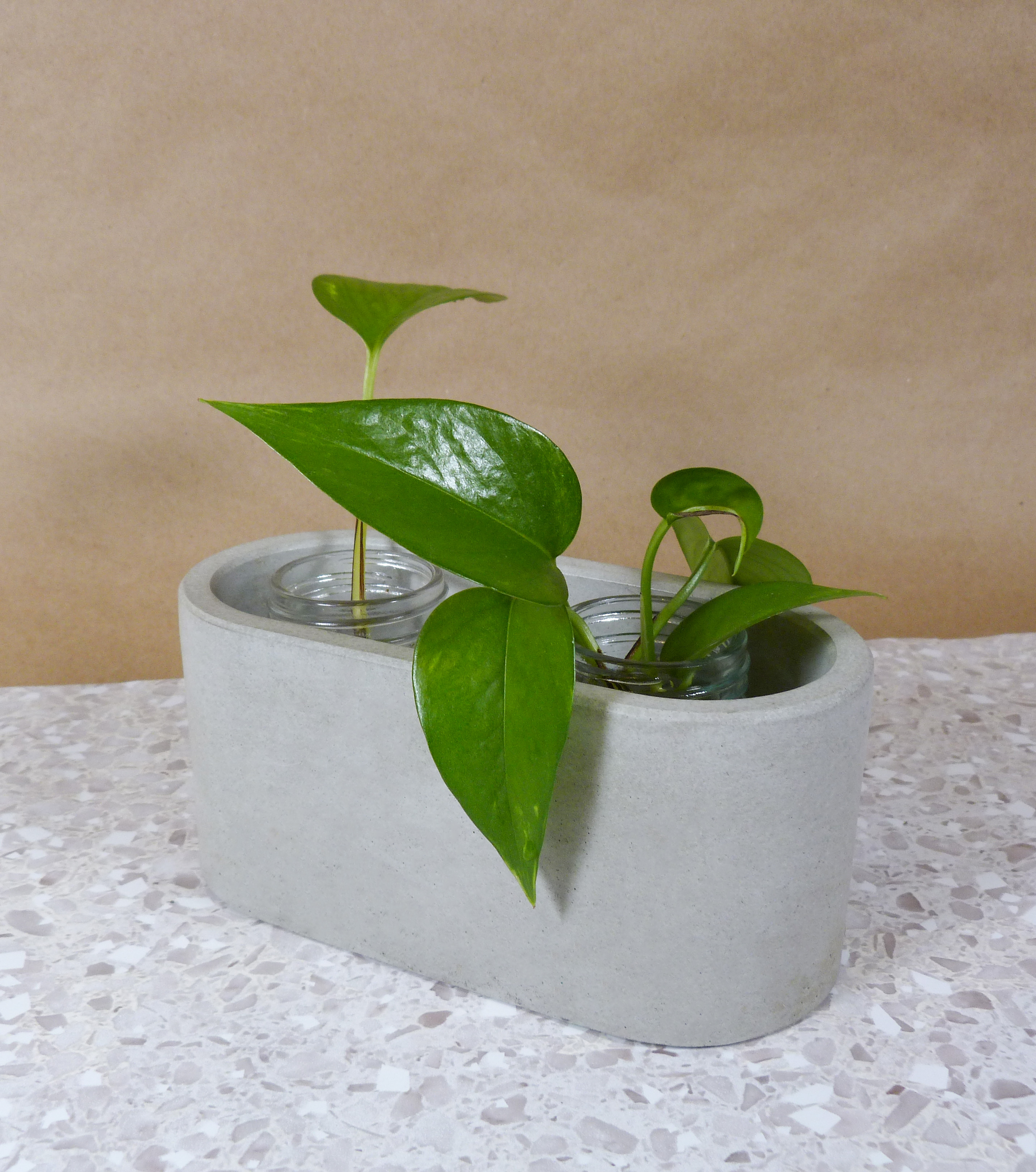 Elliptical shaped plant holder