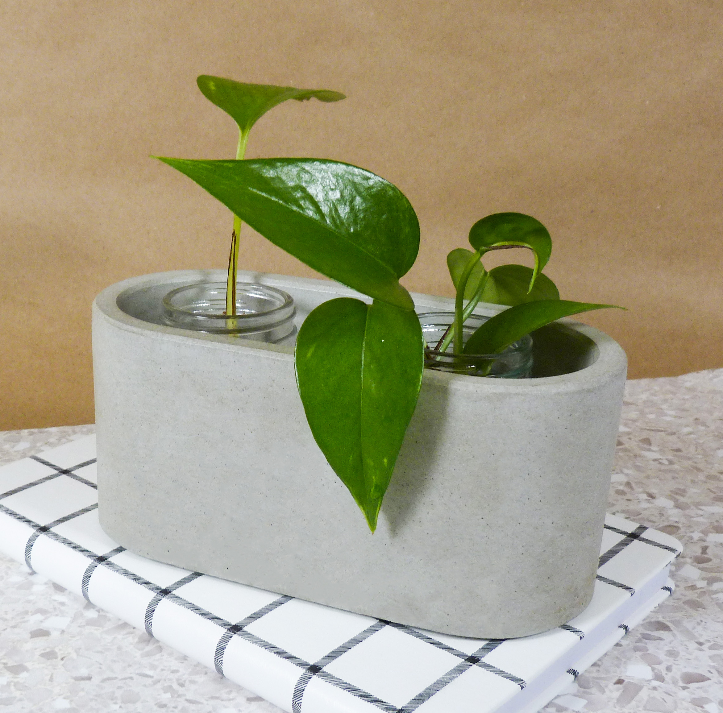 Elliptical shaped plant holder