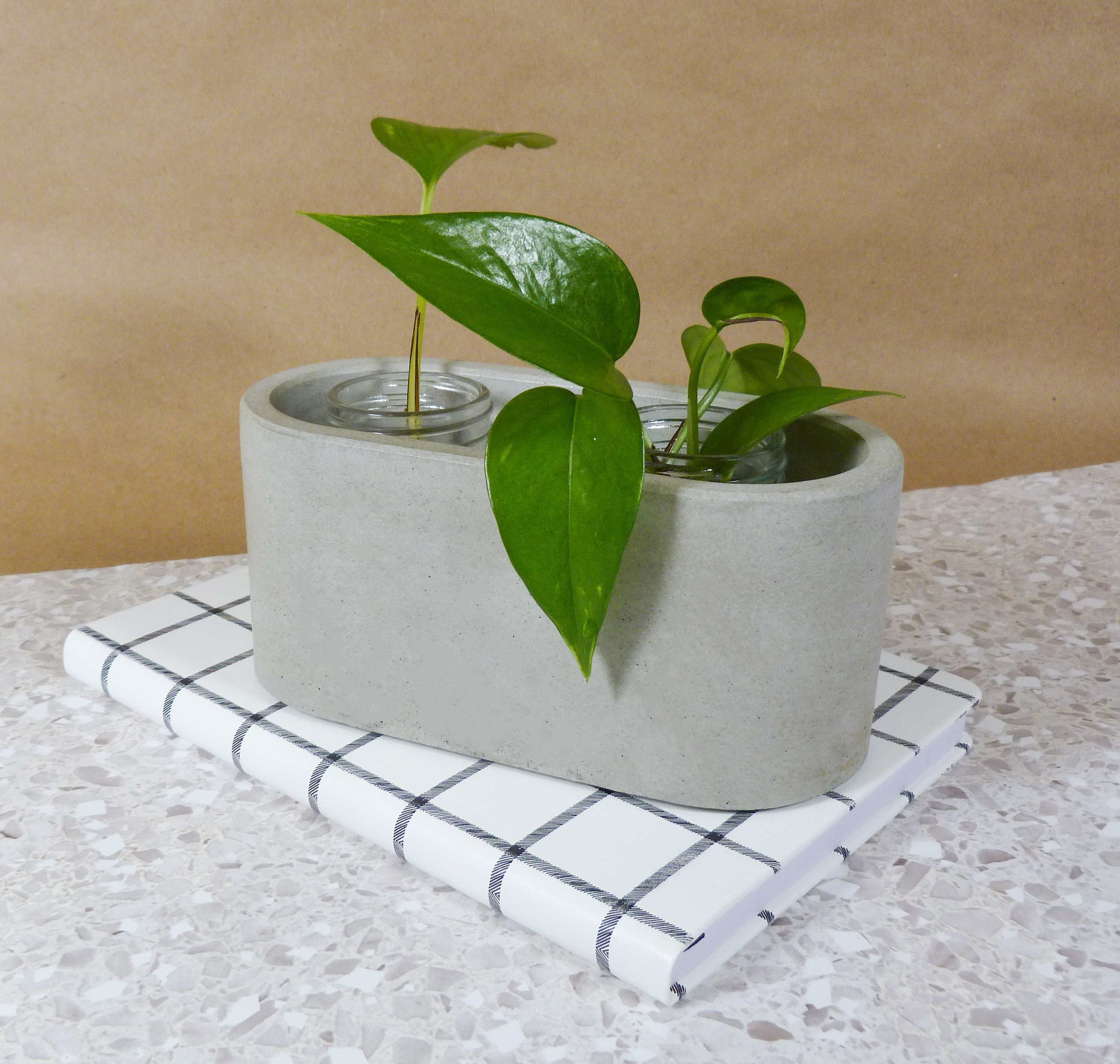 Elliptical shaped plant holder