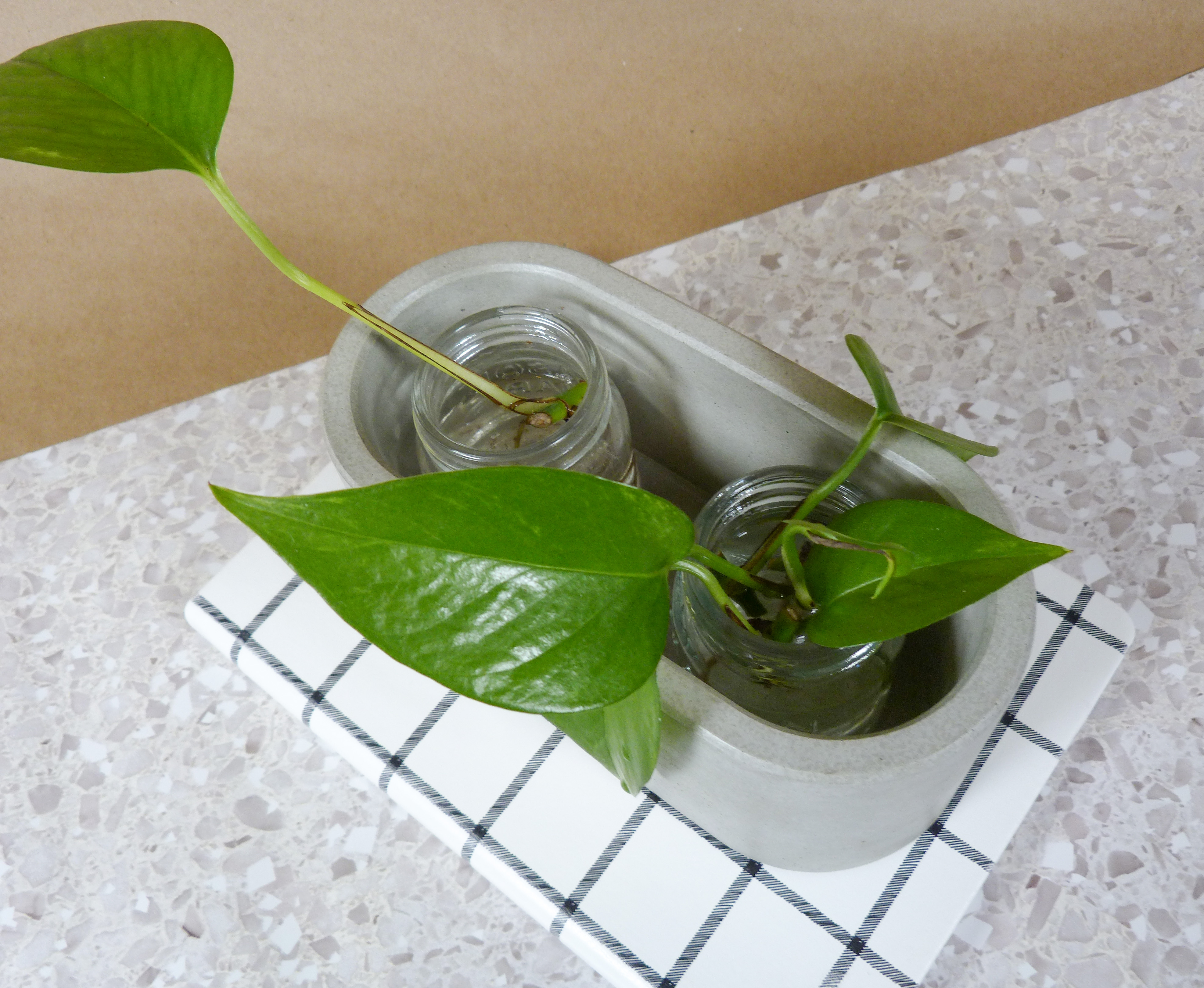 Elliptical shaped plant holder