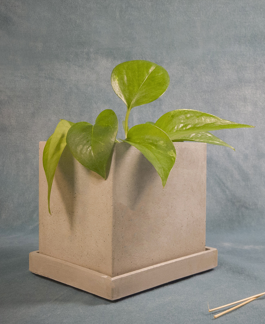 Square Shaped Plant Holder