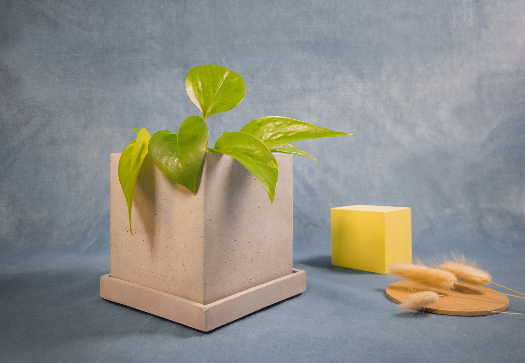 Square Shaped Plant Holder