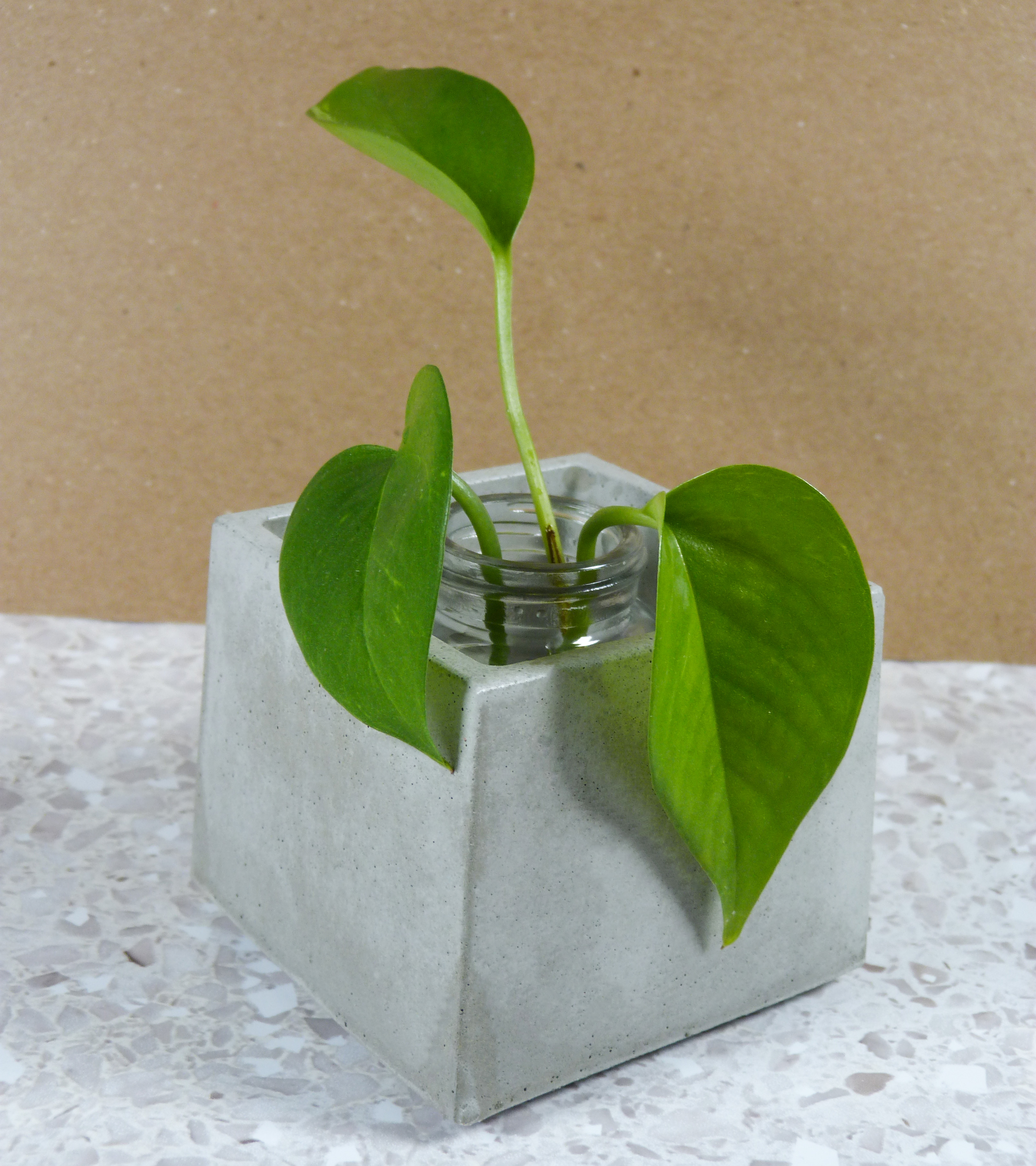 Little Squared Plant holder
