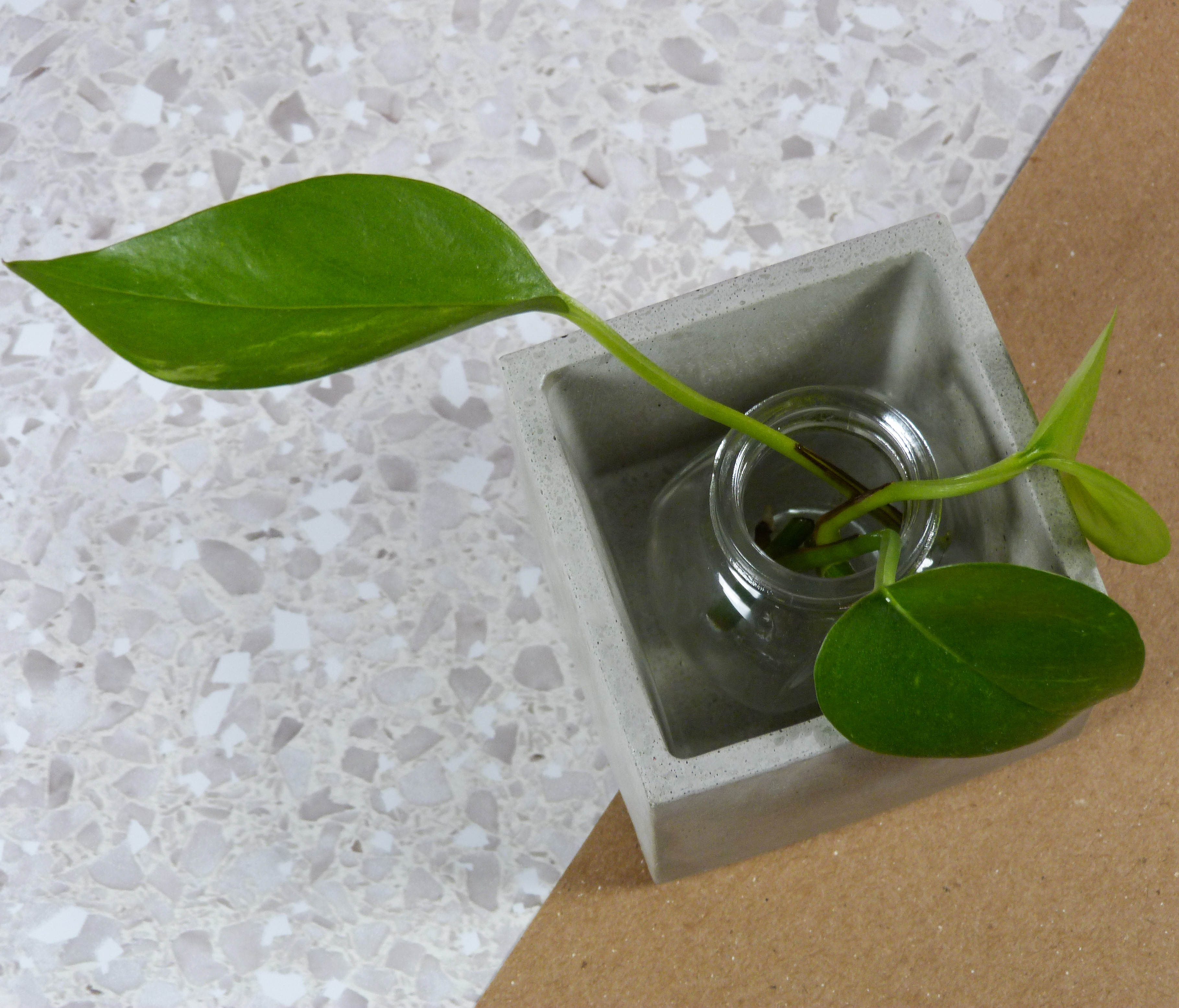 Little Squared Plant holder
