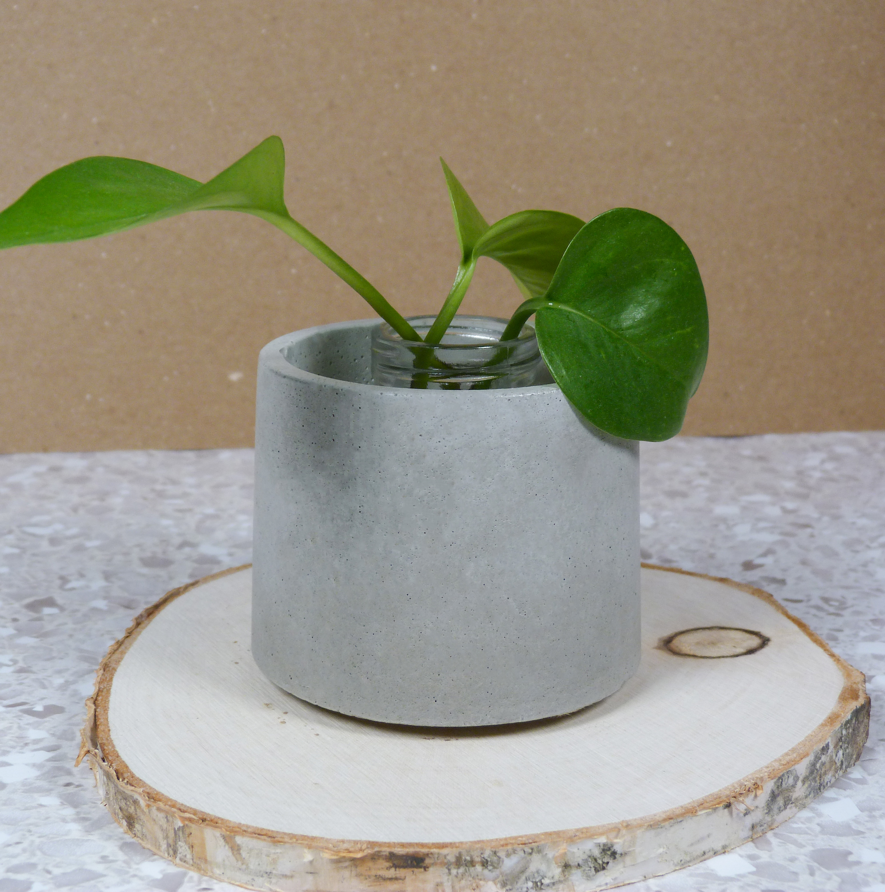Cylinder-shaped plant holder