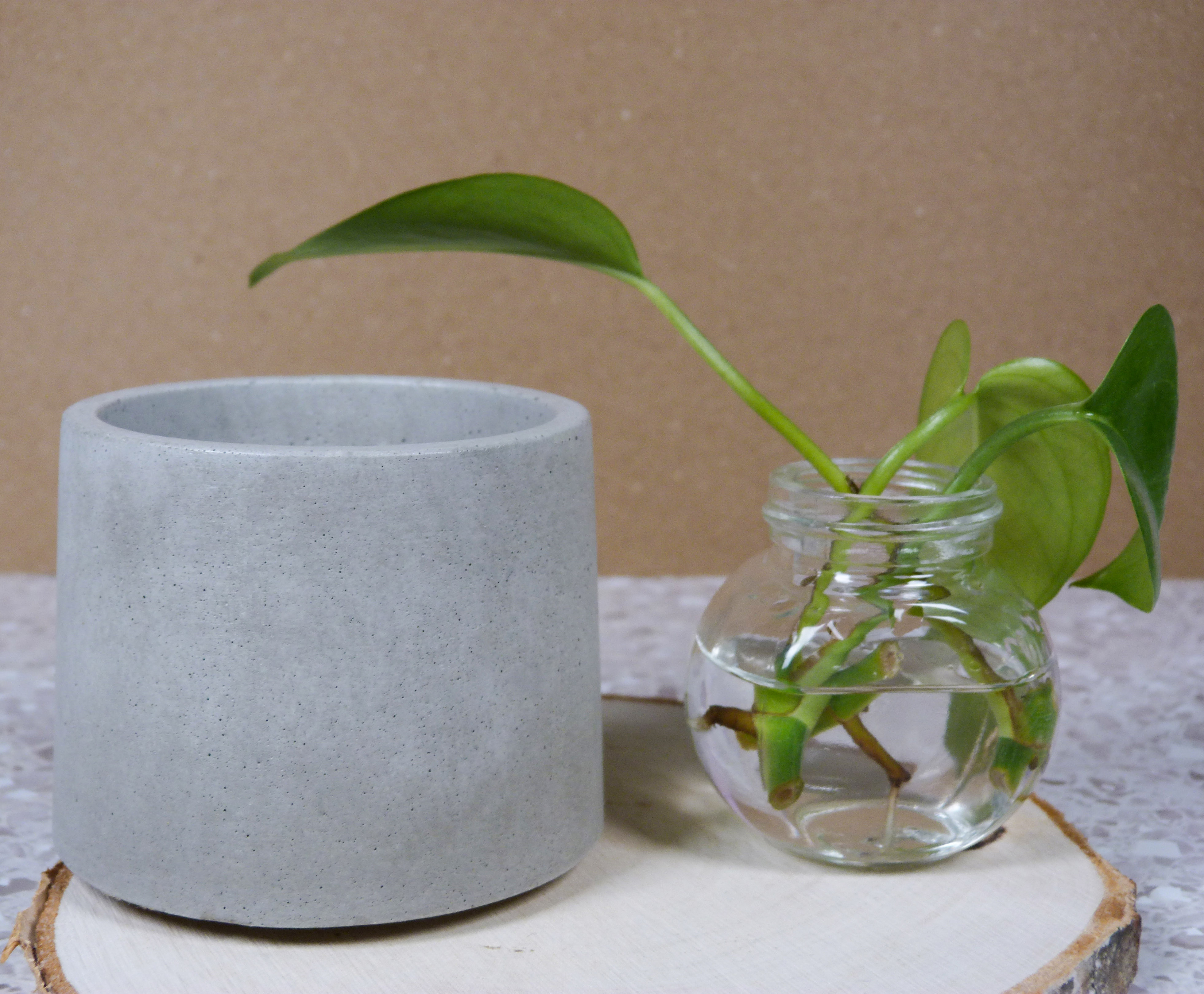 Cylinder-shaped plant holder