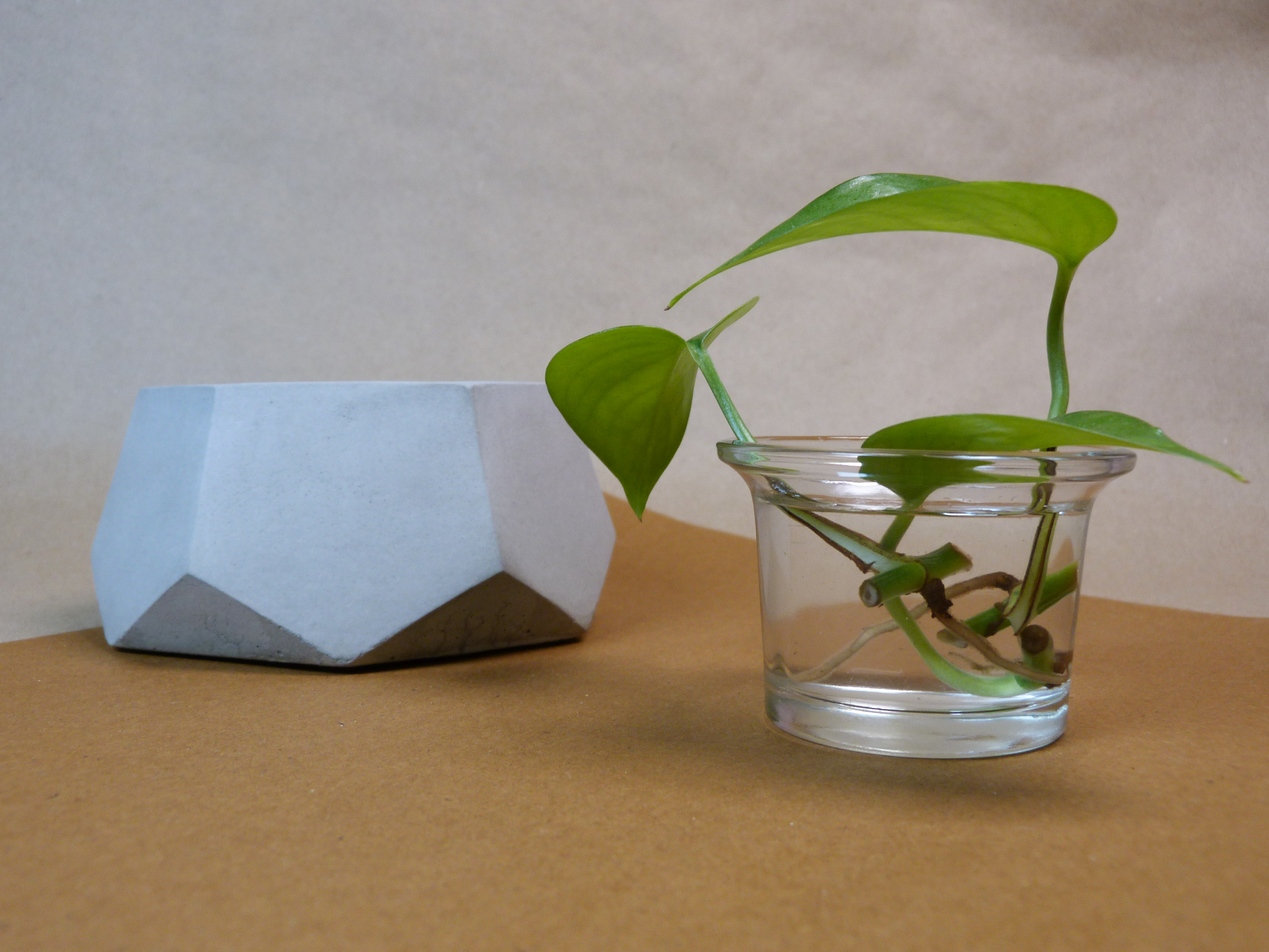 Hexagonal Diamond Style Plant holder