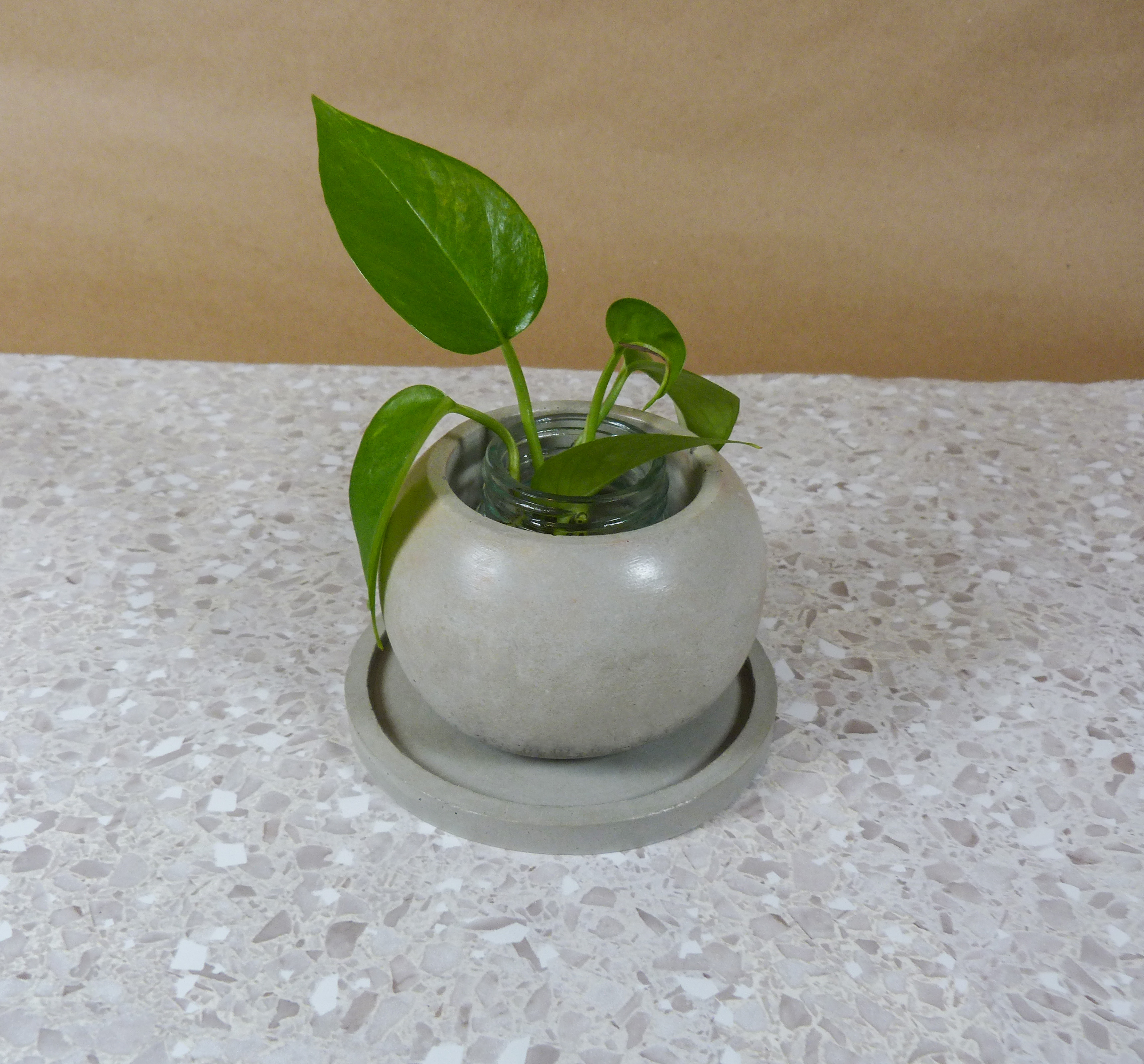 Spheric Plant holder 