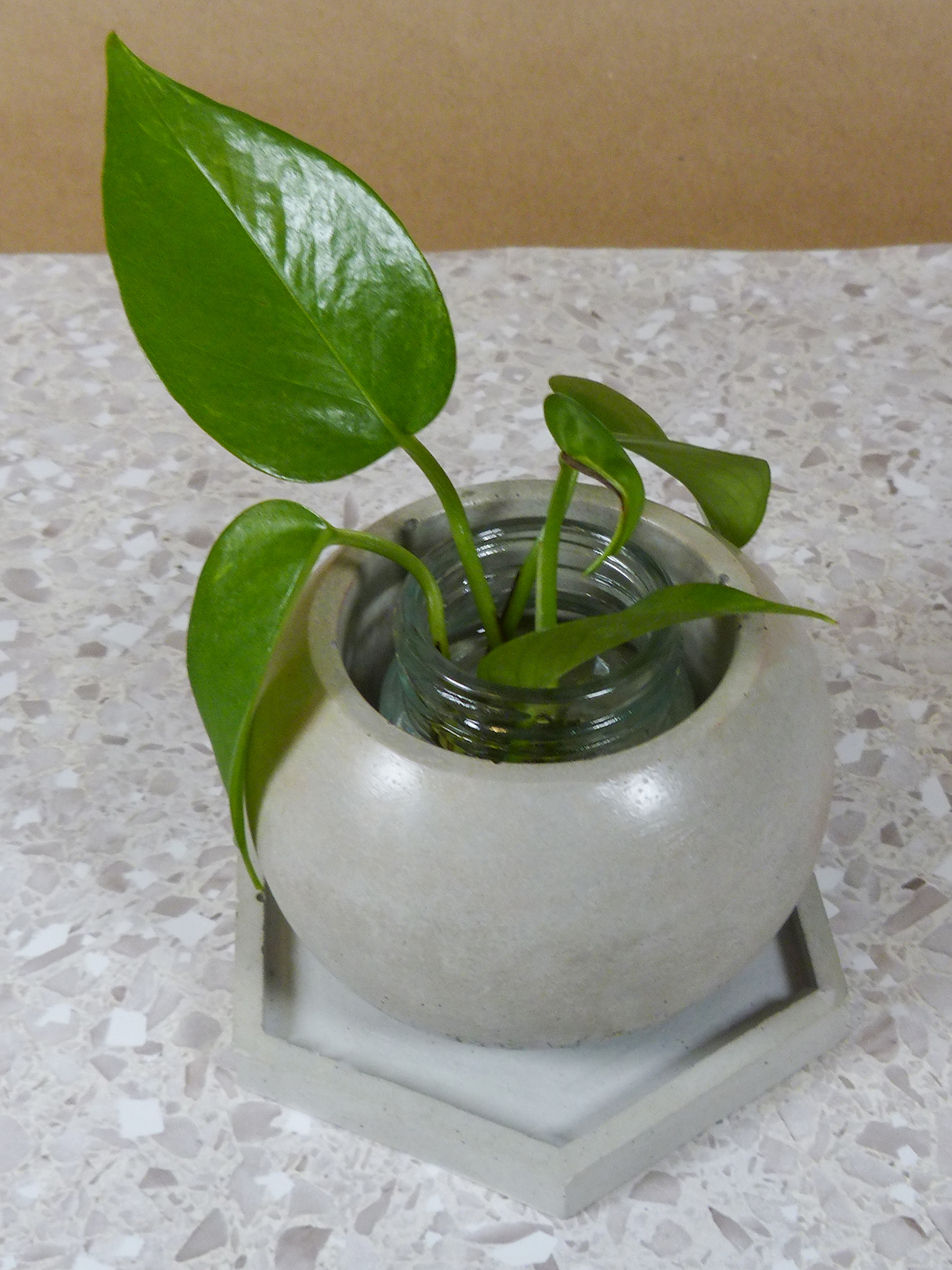 Spheric Plant holder 