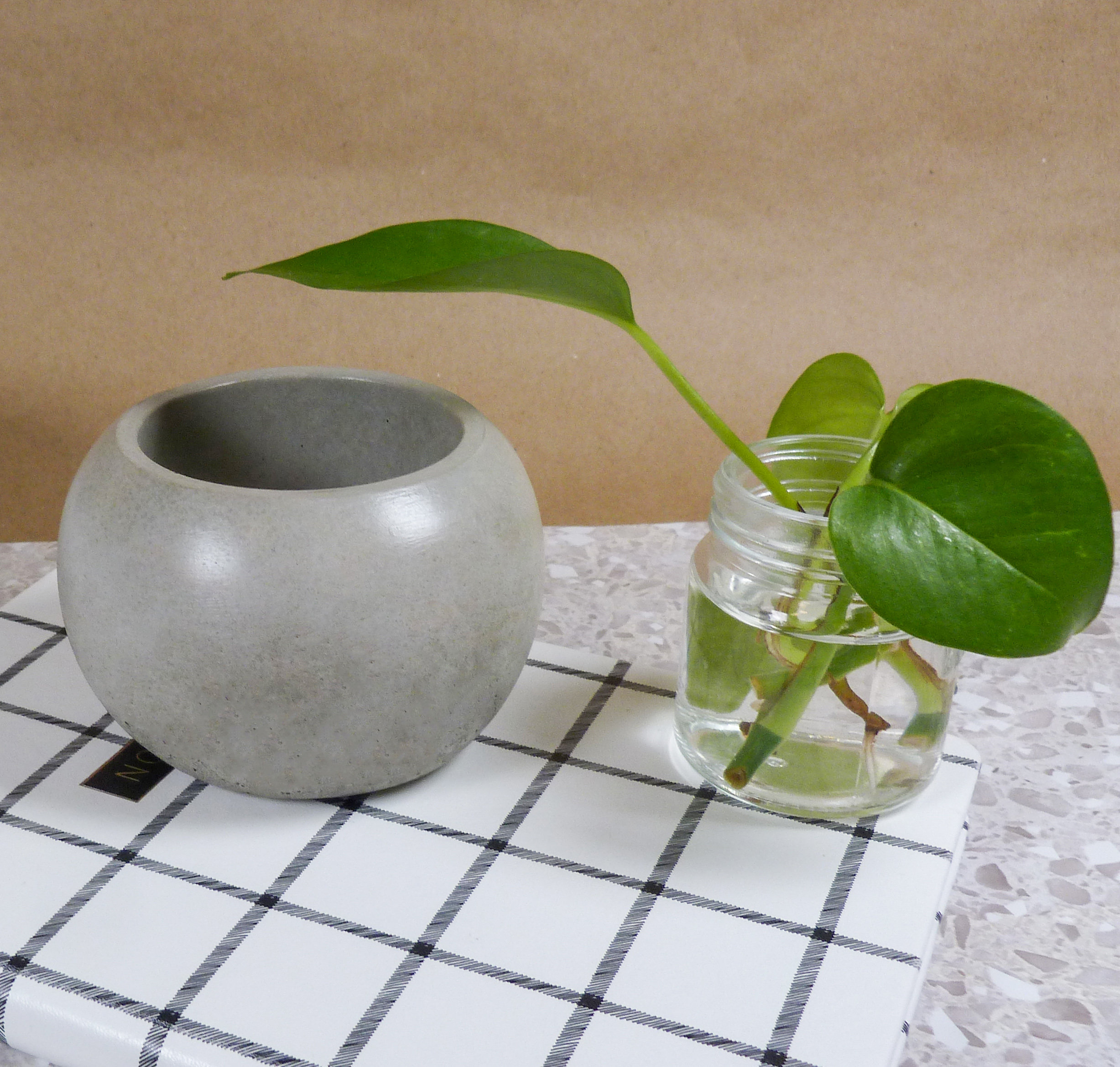 Spheric Plant holder 