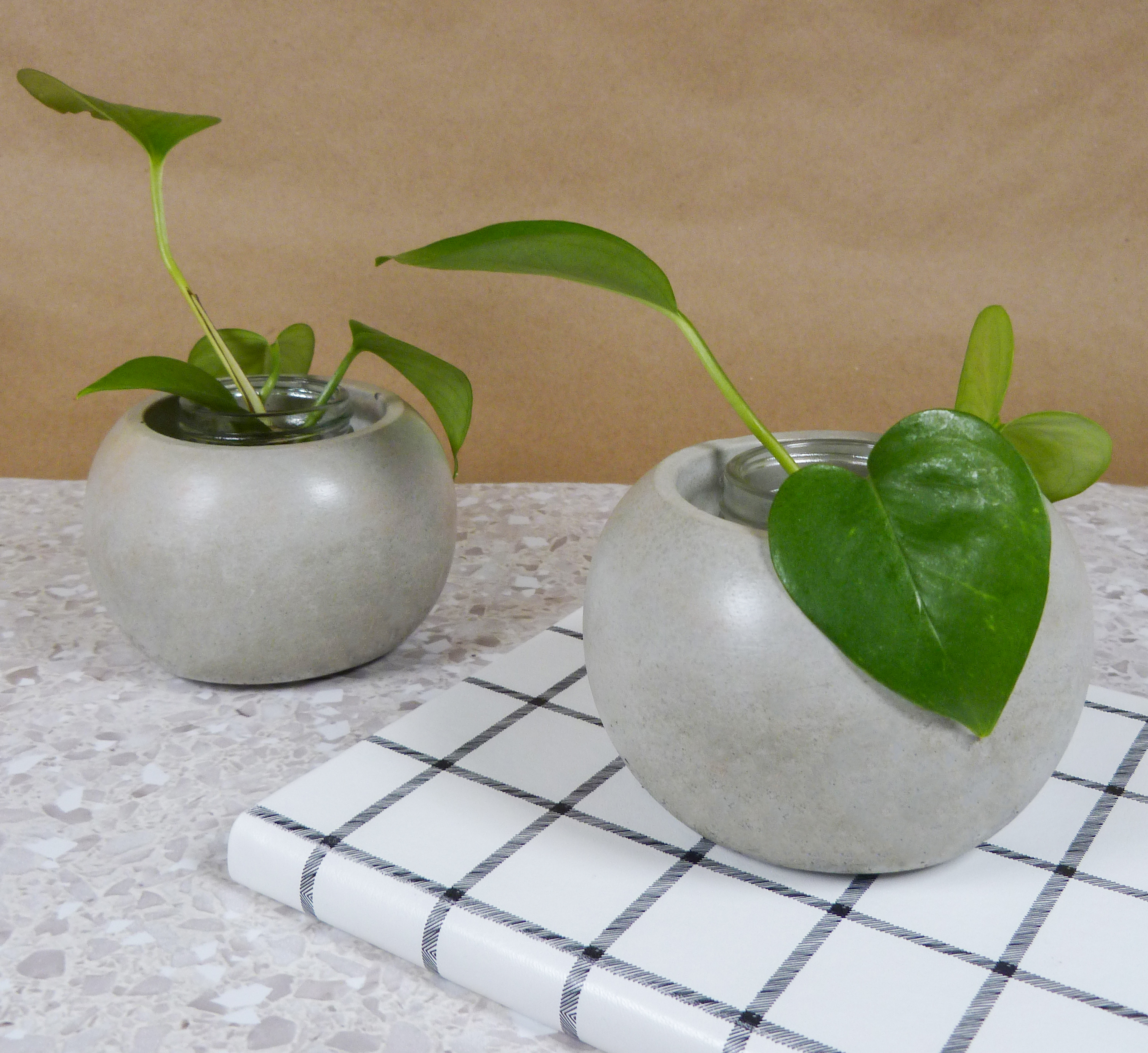 Spheric Plant holder 