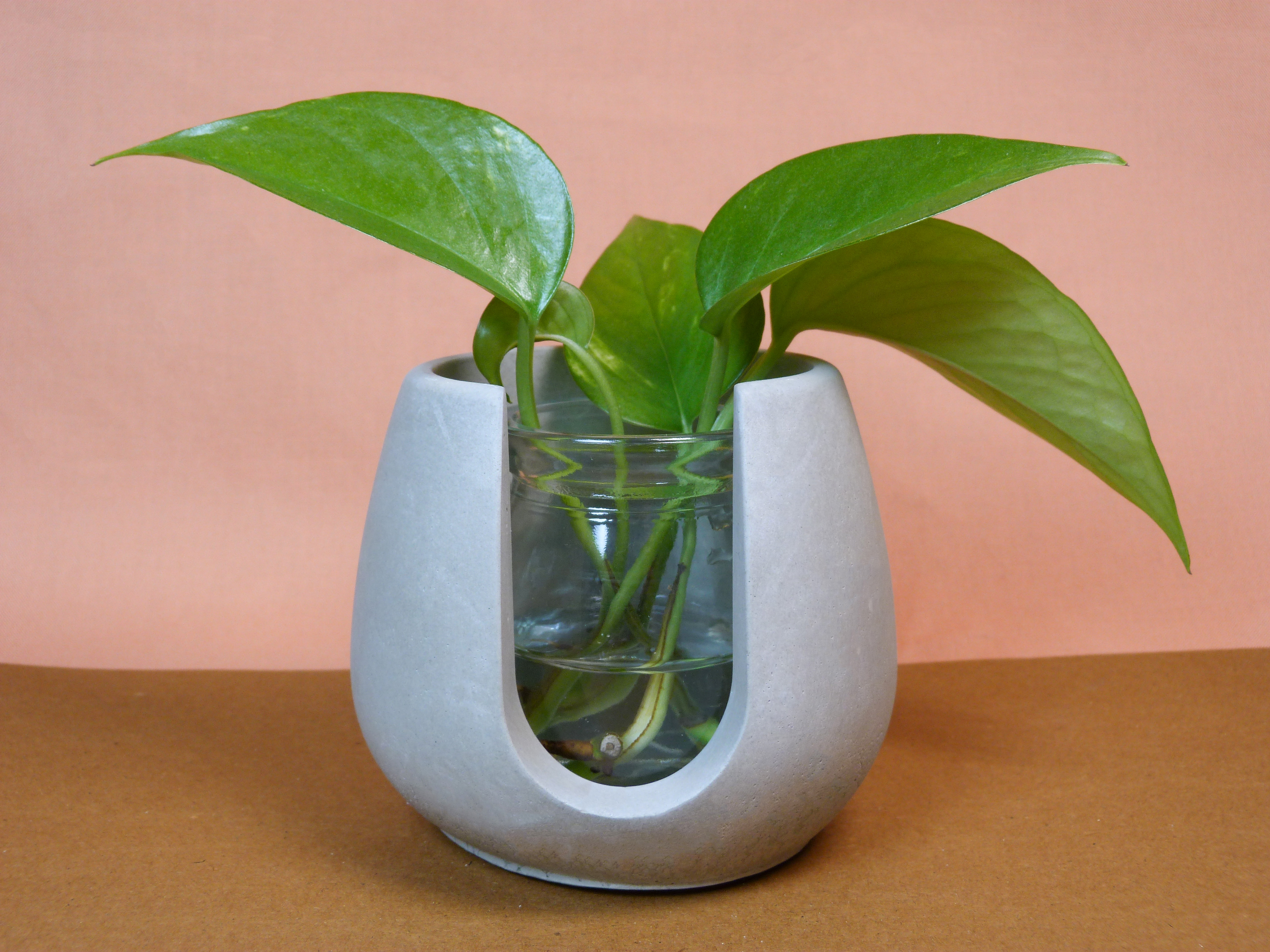 Cone-shaped Plant Holder