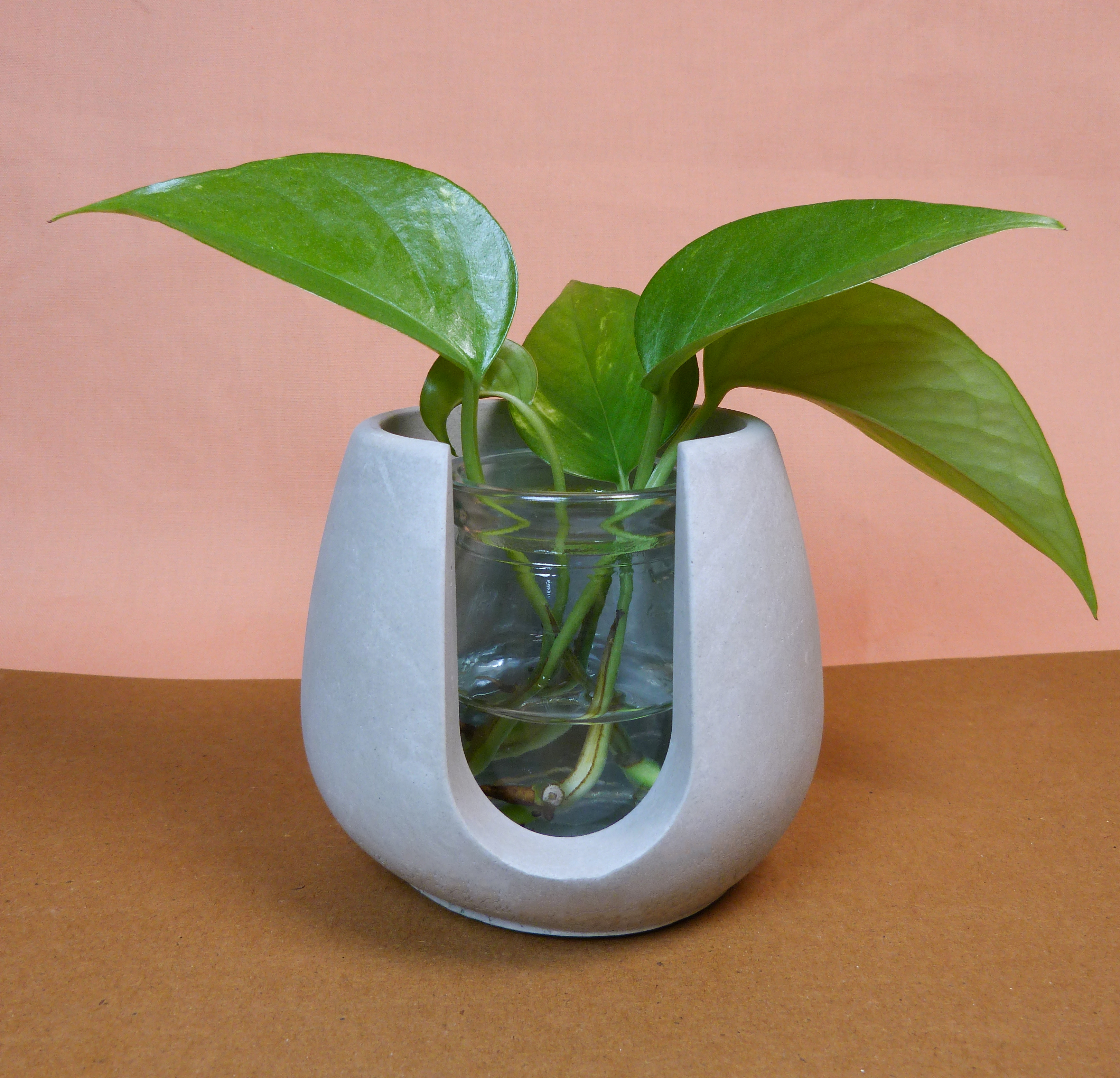 Cone-shaped Plant Holder
