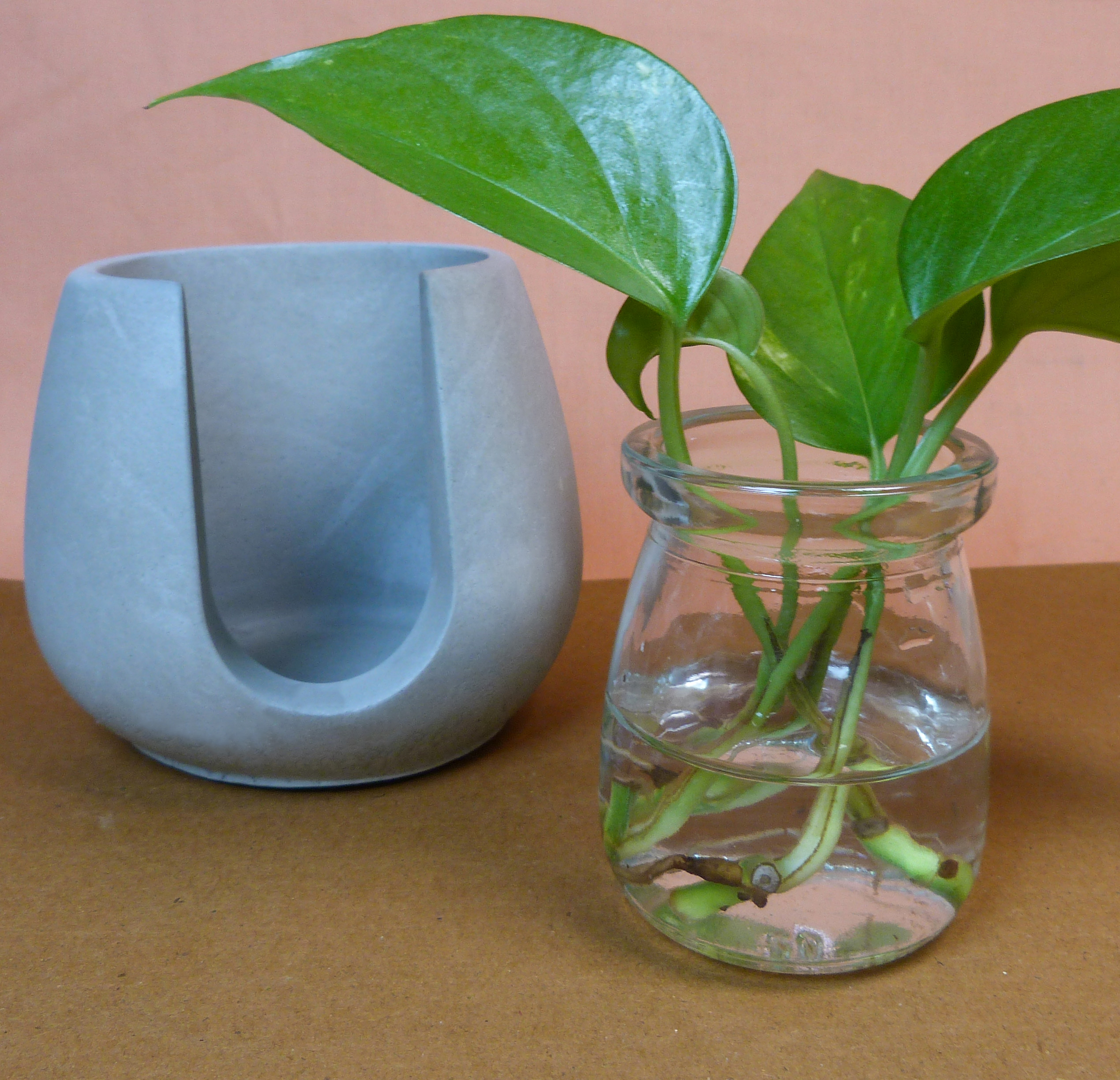 Cone-shaped Plant Holder