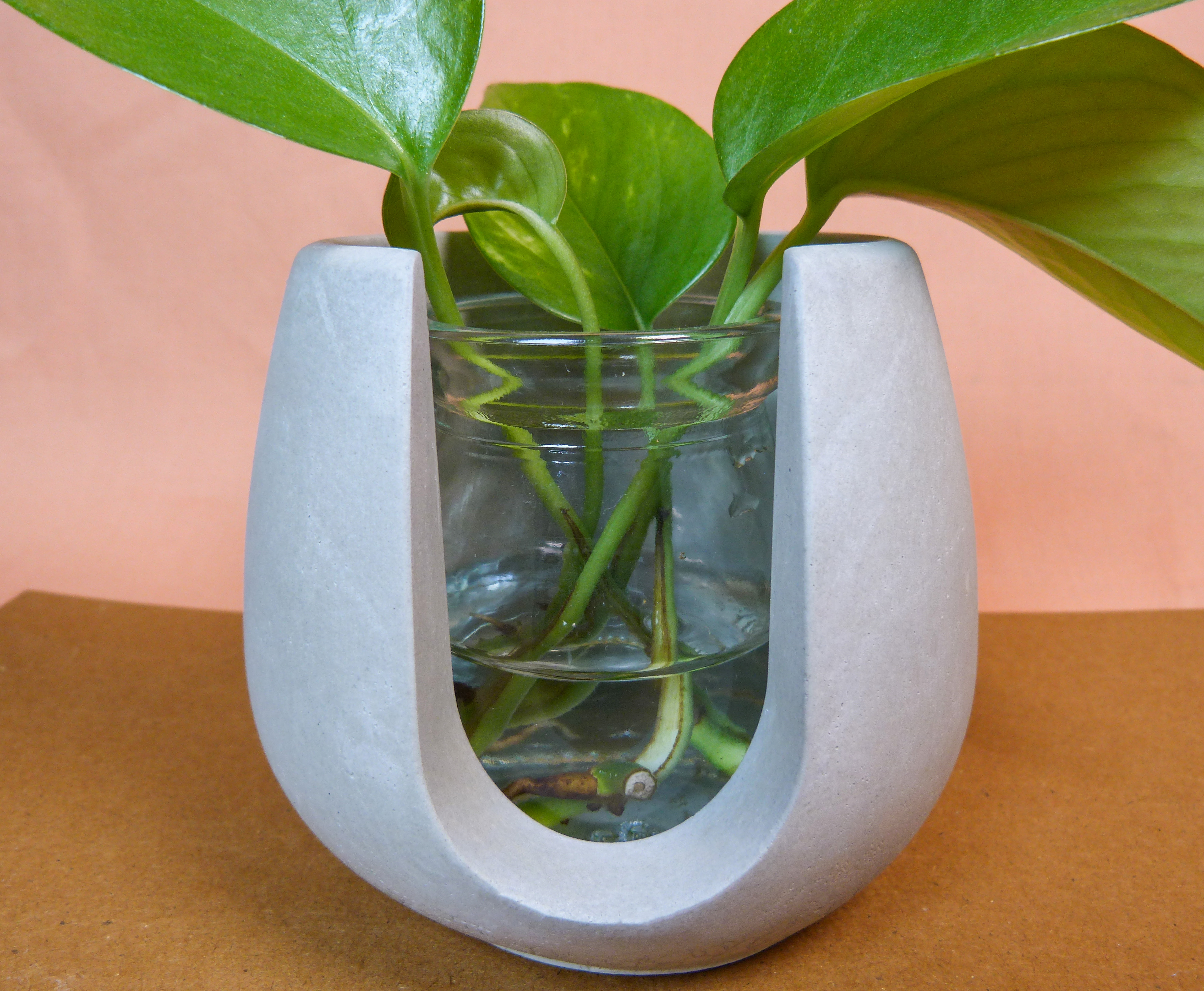 Cone-shaped Plant Holder