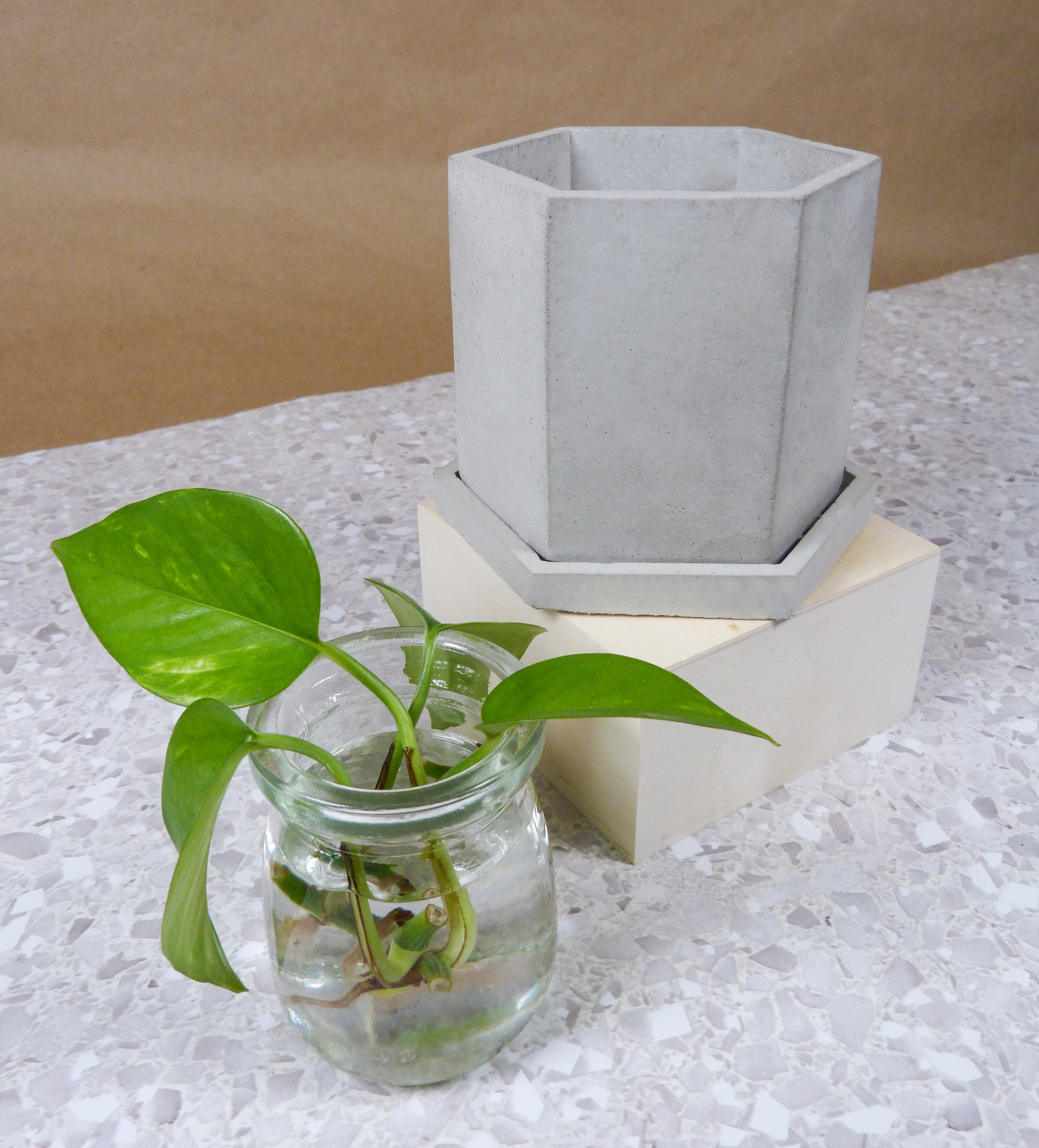 Tall hexagonal Plant holder
