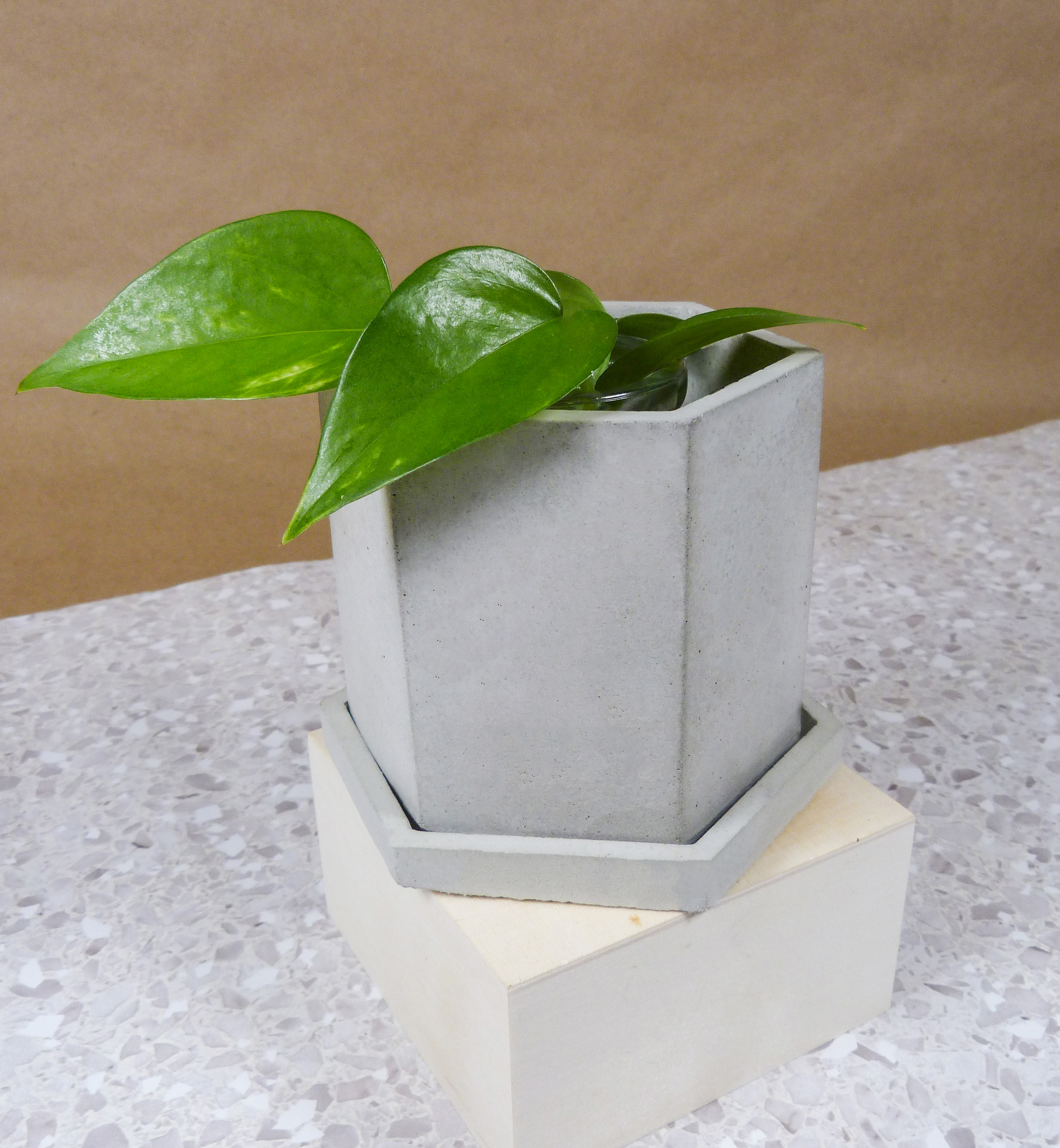 Tall hexagonal Plant holder