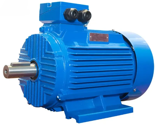 Three-phase Electric Motor