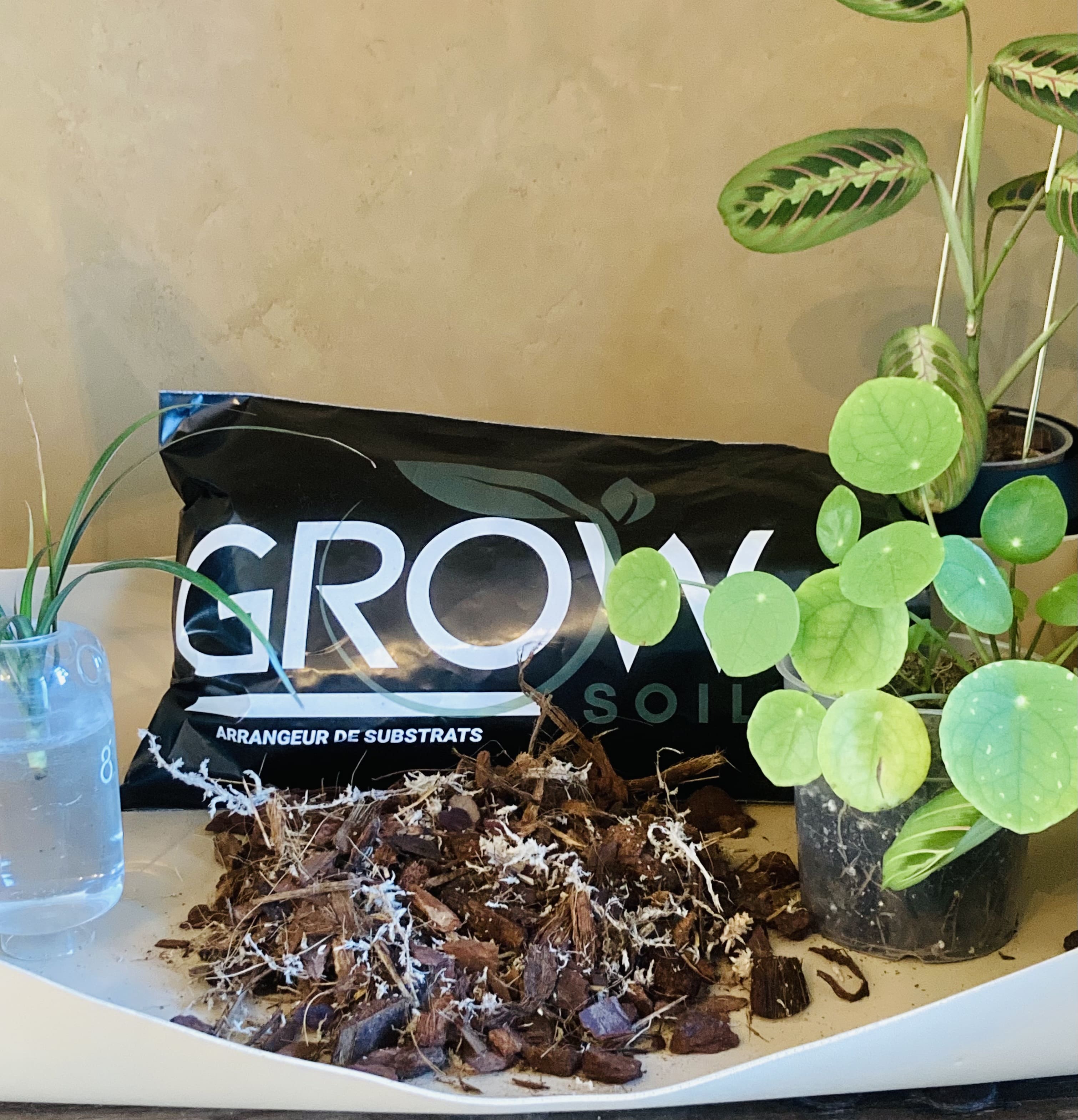 Mix orchidée 4L
