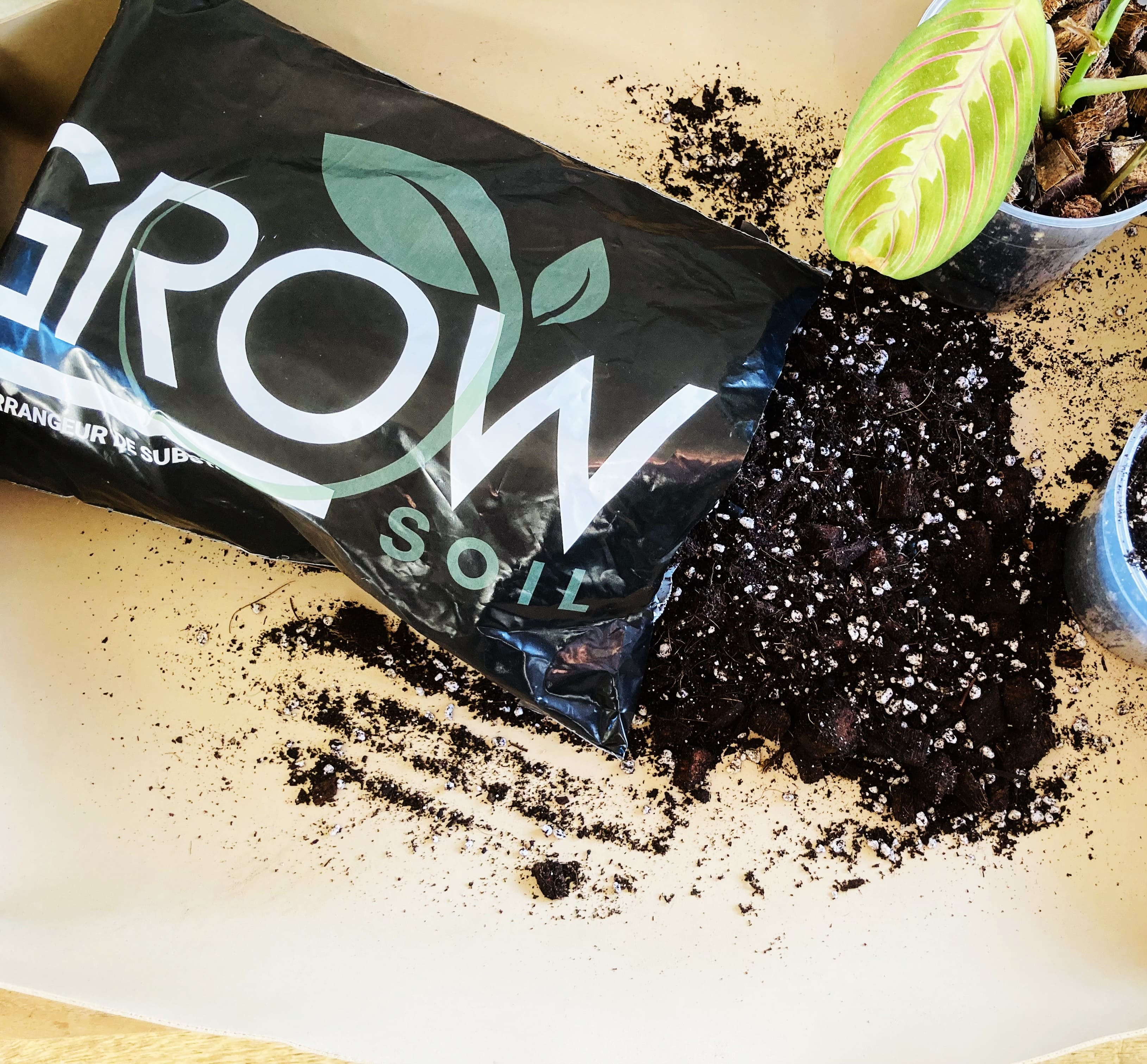Mix aromatiques 4L