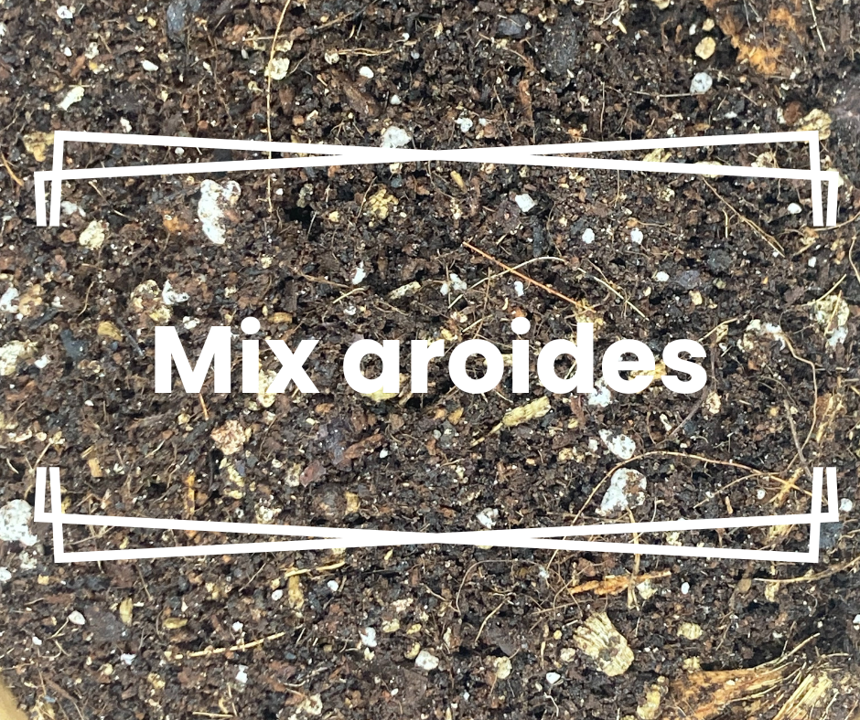 Mix aroides