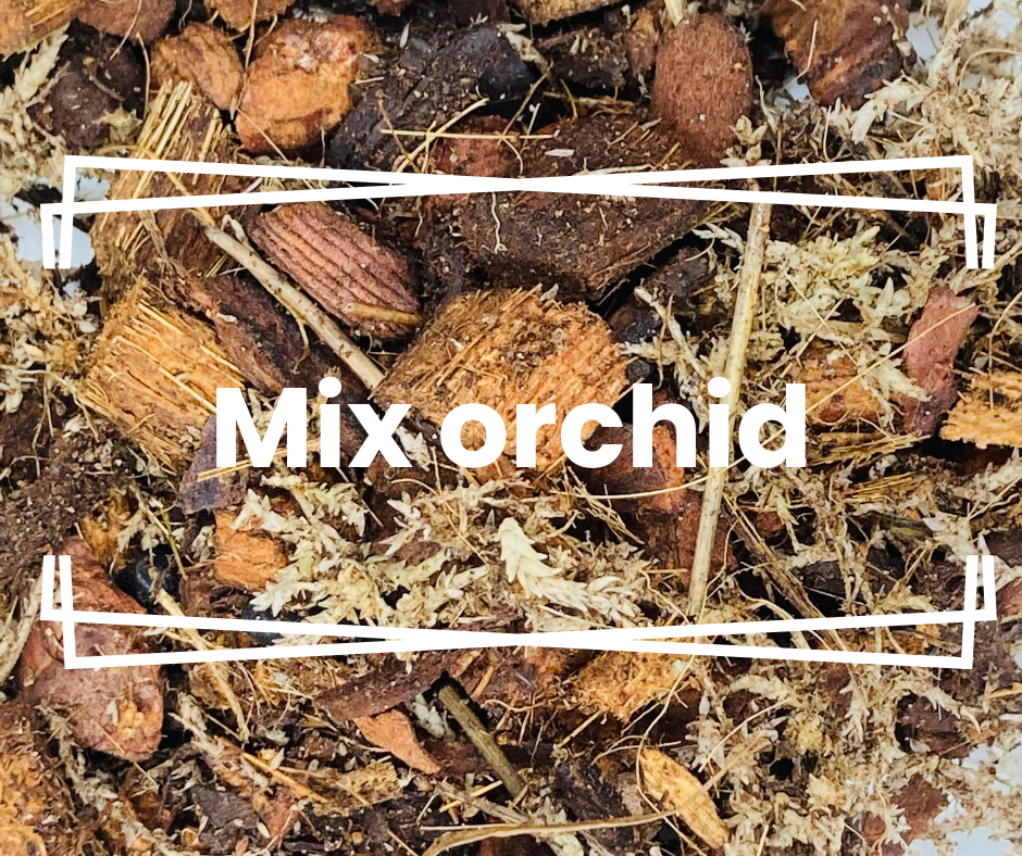 Mix orchidée 4L