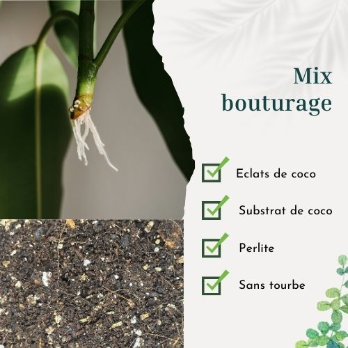 Mix bouturage 4L