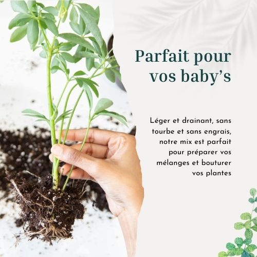 Mix bouturage 4L