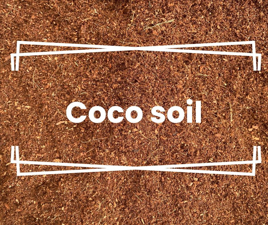 Terreau de coco