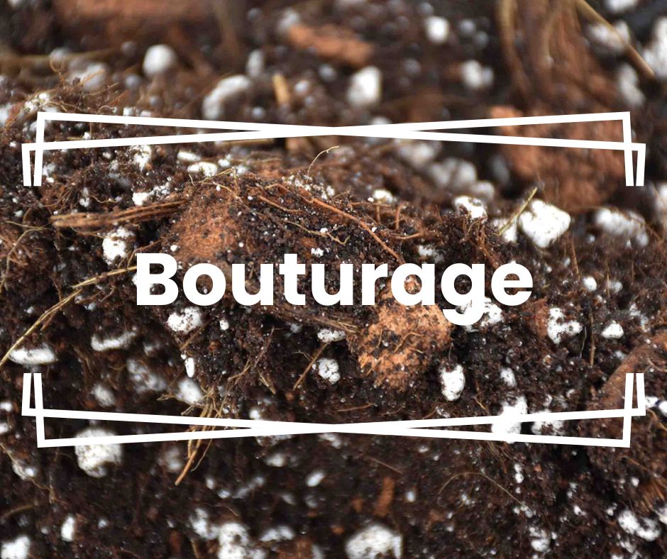 Mix bouturage 4L