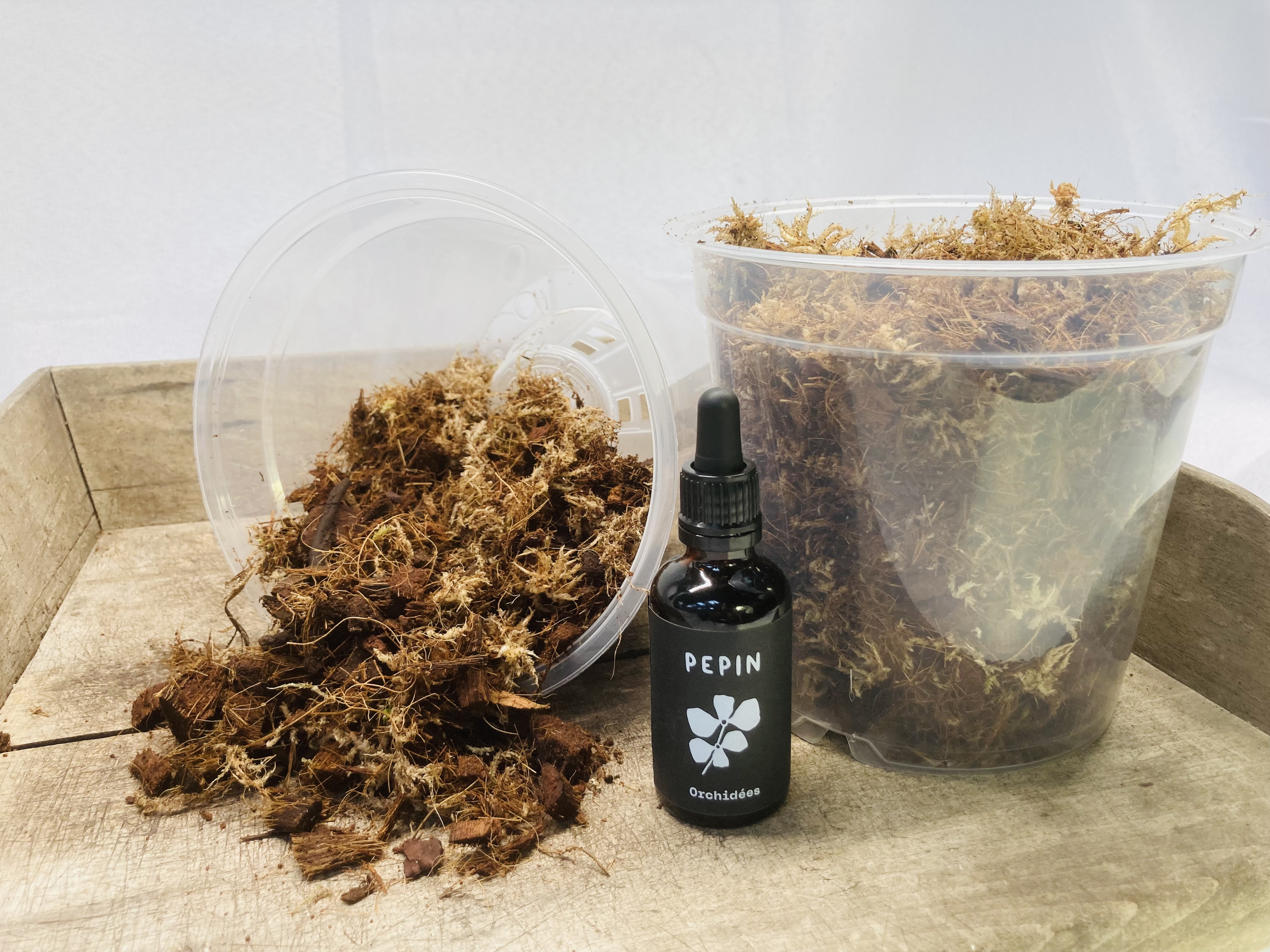 Kit de rempotage orchidée