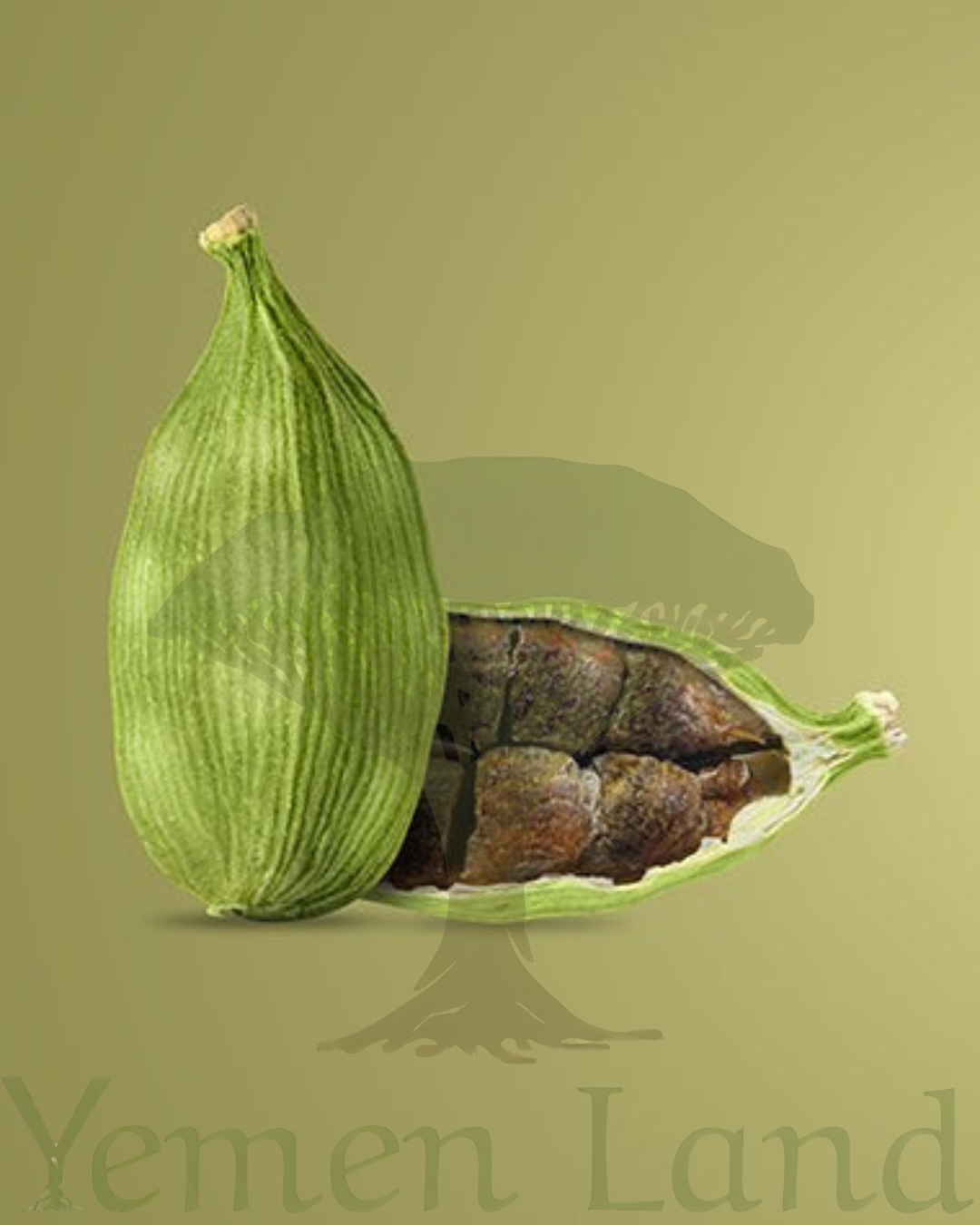 Premium Export Grade Green Cardamom Pods Big Bold Elaichi 100% Natural 50 - 200g