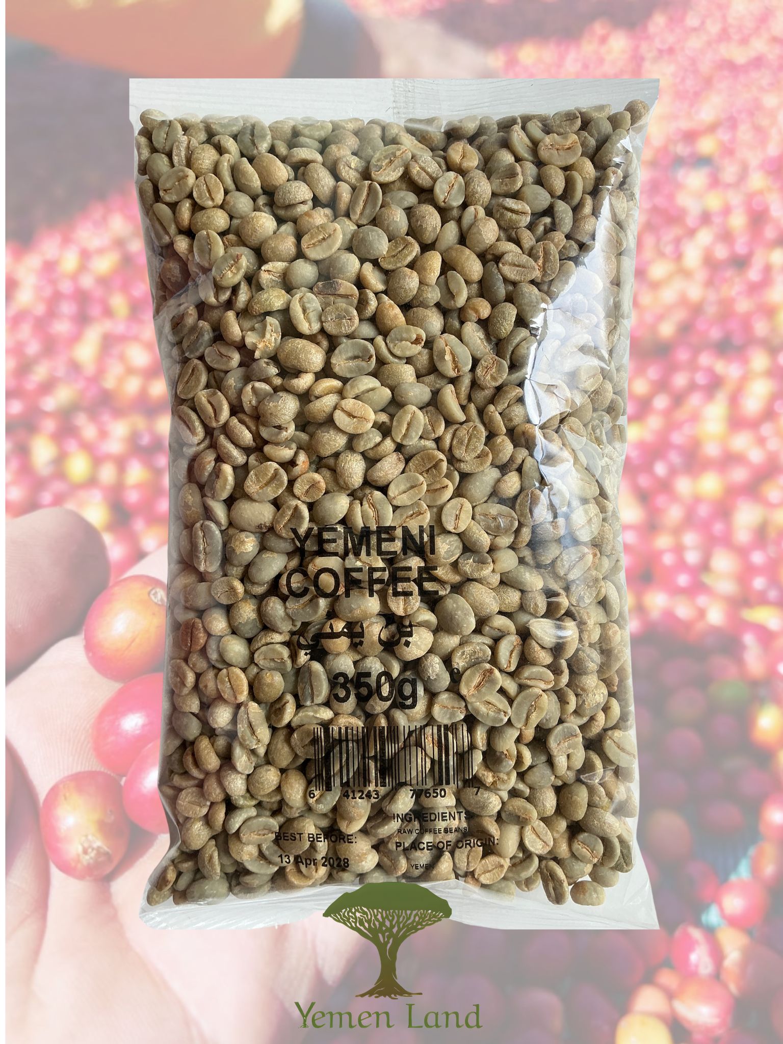 Yemeni Harazi Green Coffee Beans Arabica | Premium Raw Unroasted Coffee بن يمني
