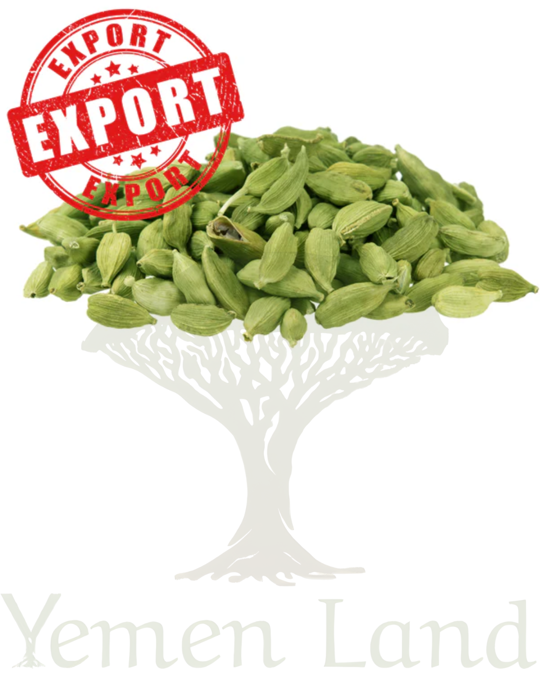 Premium Export Grade Green Cardamom Pods Big Bold Elaichi 100% Natural 50 - 200g