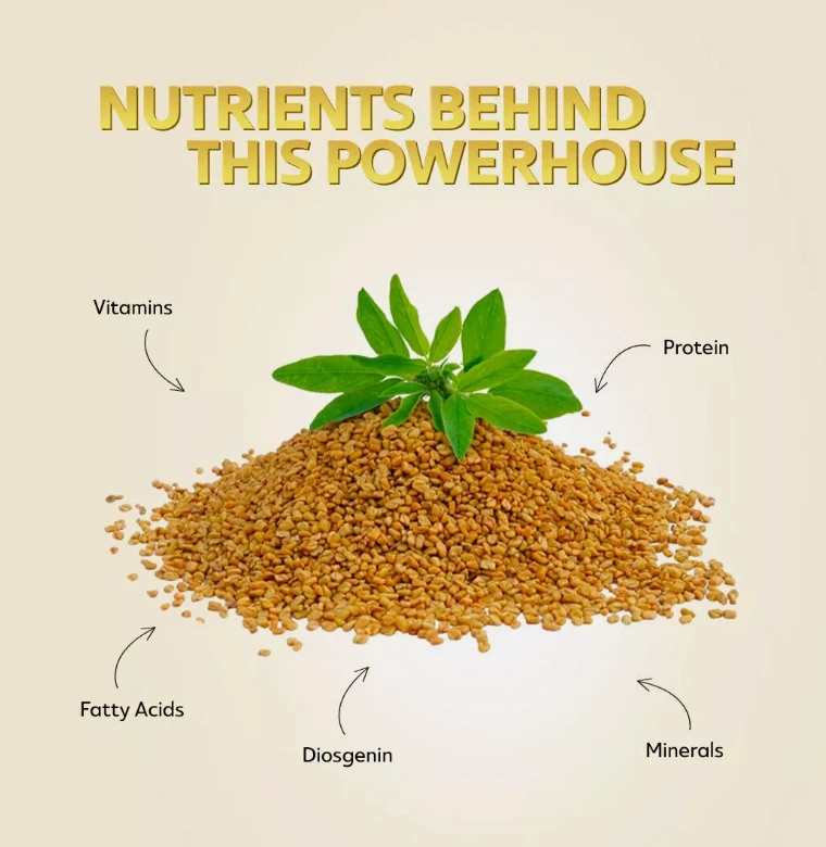Fresh Yemeni Holba Al Ragawi Fenugreek powder 250g Fenugreek powder مسحوق الحلبة