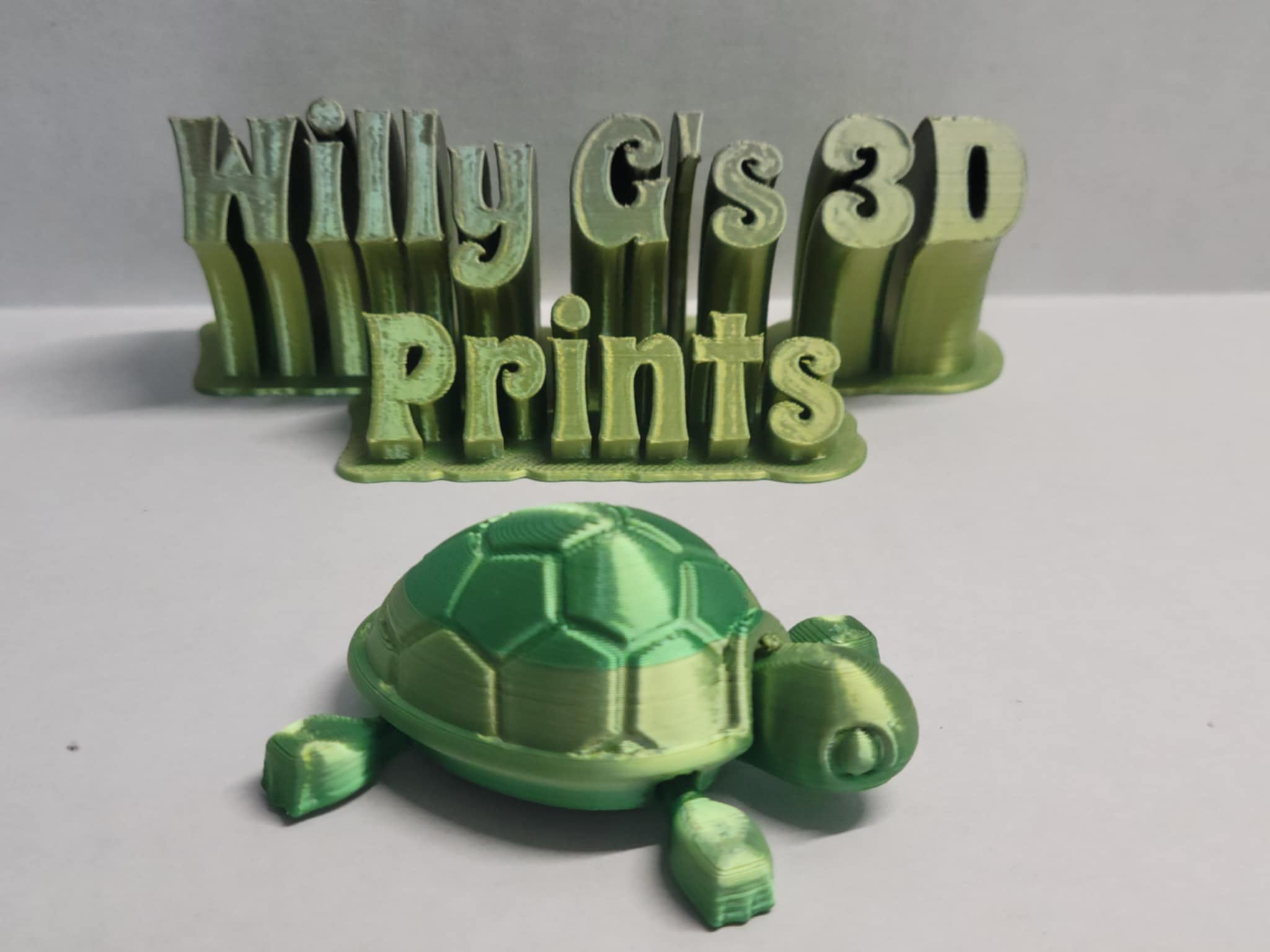3D Printed Articulated Turtle
