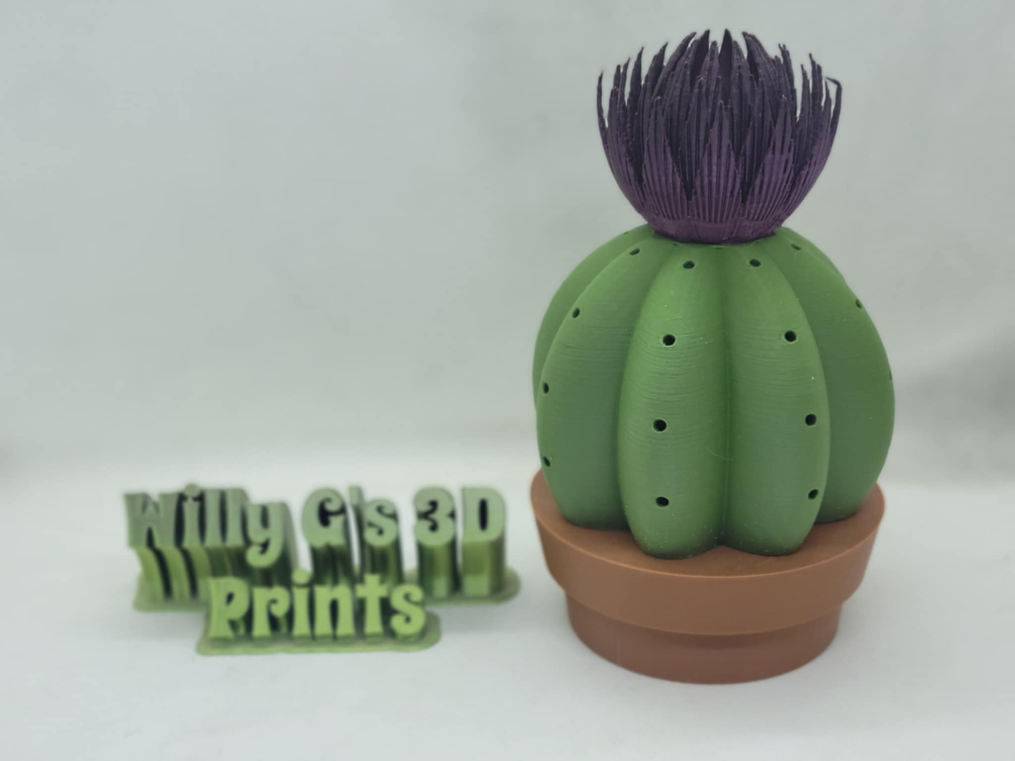 3D Printed Cactus Toothpick Holders