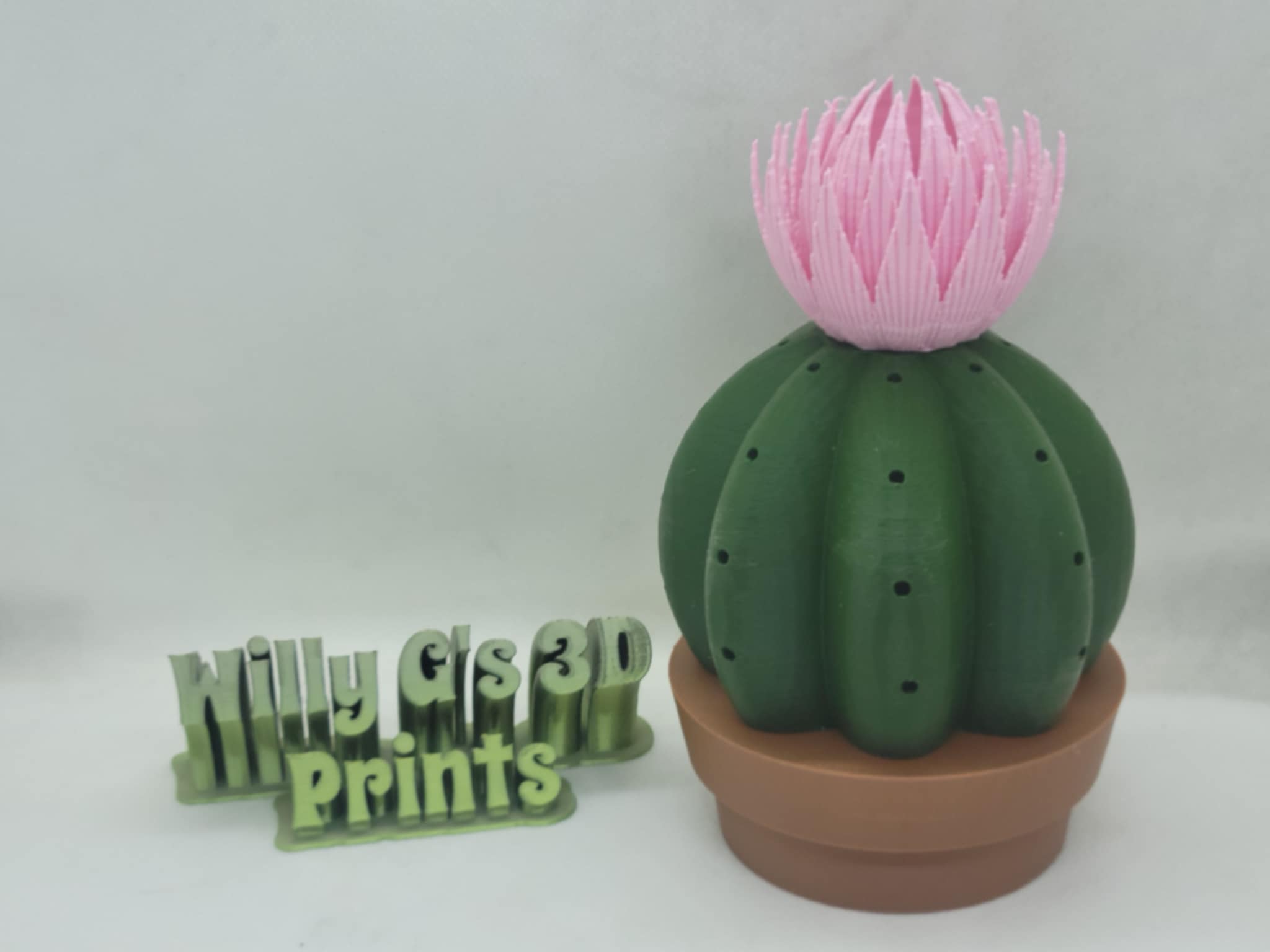 3D Printed Cactus Toothpick Holders