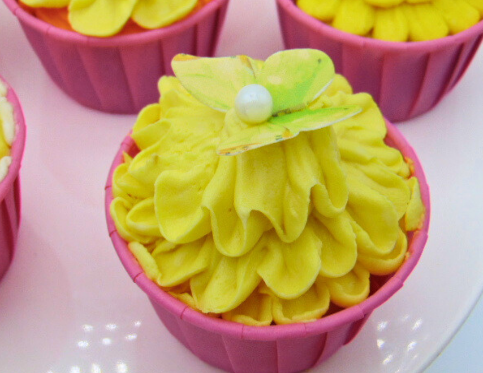 Cupcakes (Vanilla or Chocolate)