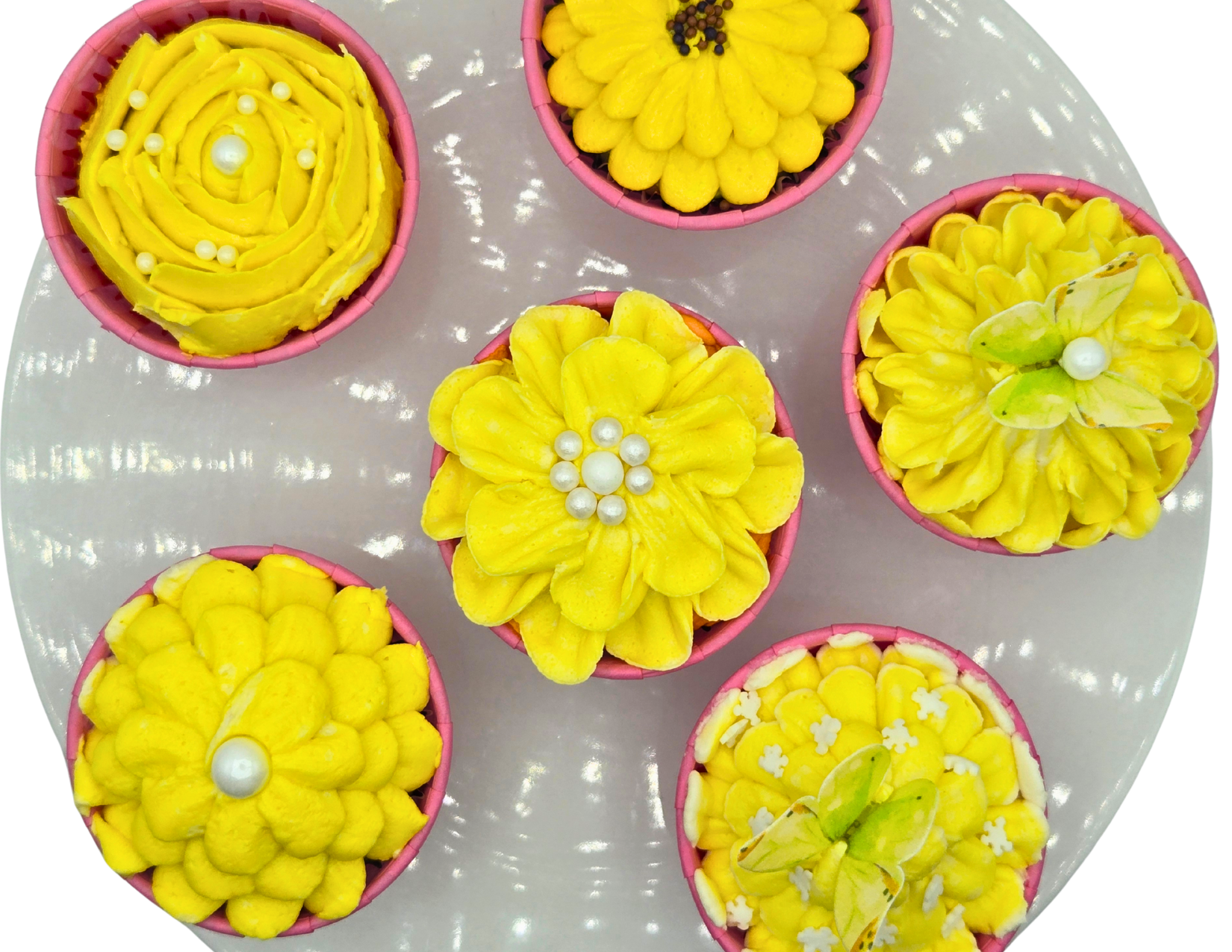 Cupcakes (Vanilla or Chocolate)