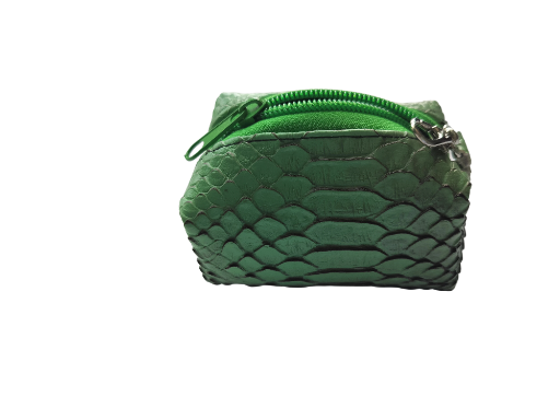 Mini Boxy Bag Gator Green Pouch Ear Buds Holder 