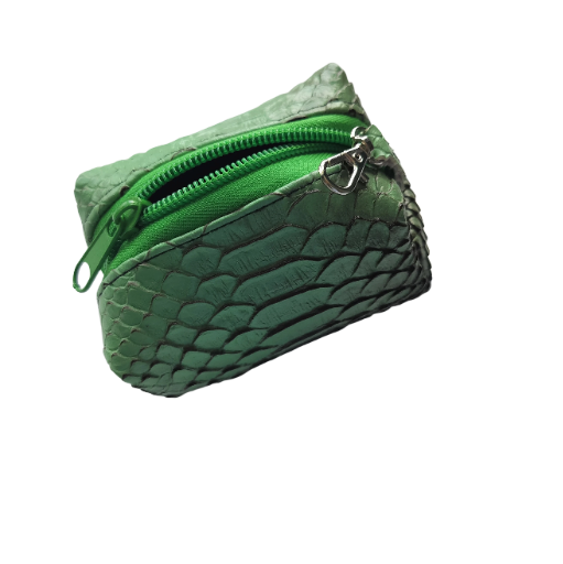 Mini Boxy Bag Gator Green Pouch Ear Buds Holder 