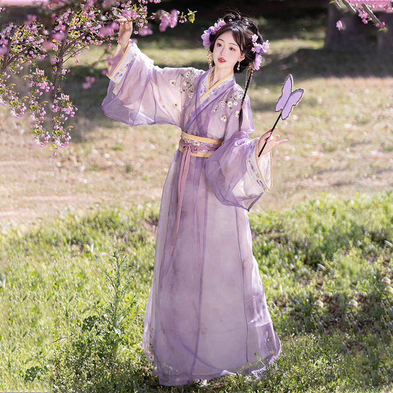 robe set  Hanfu with straight skirt
