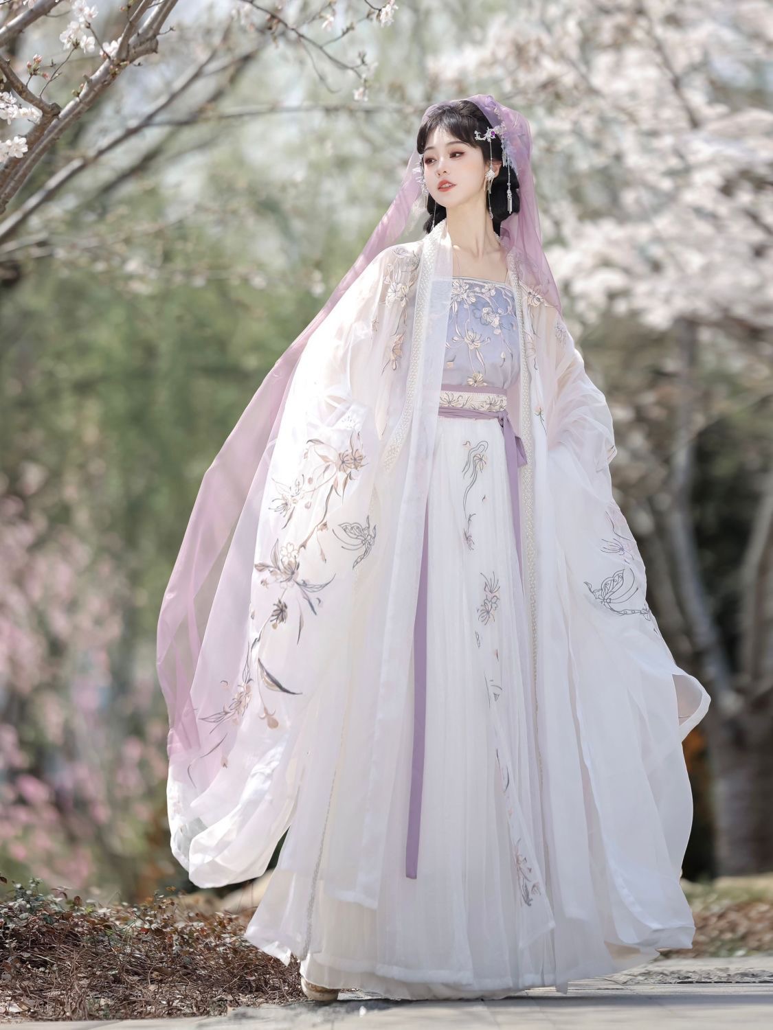 Elegant Traditional Hanfu Dress