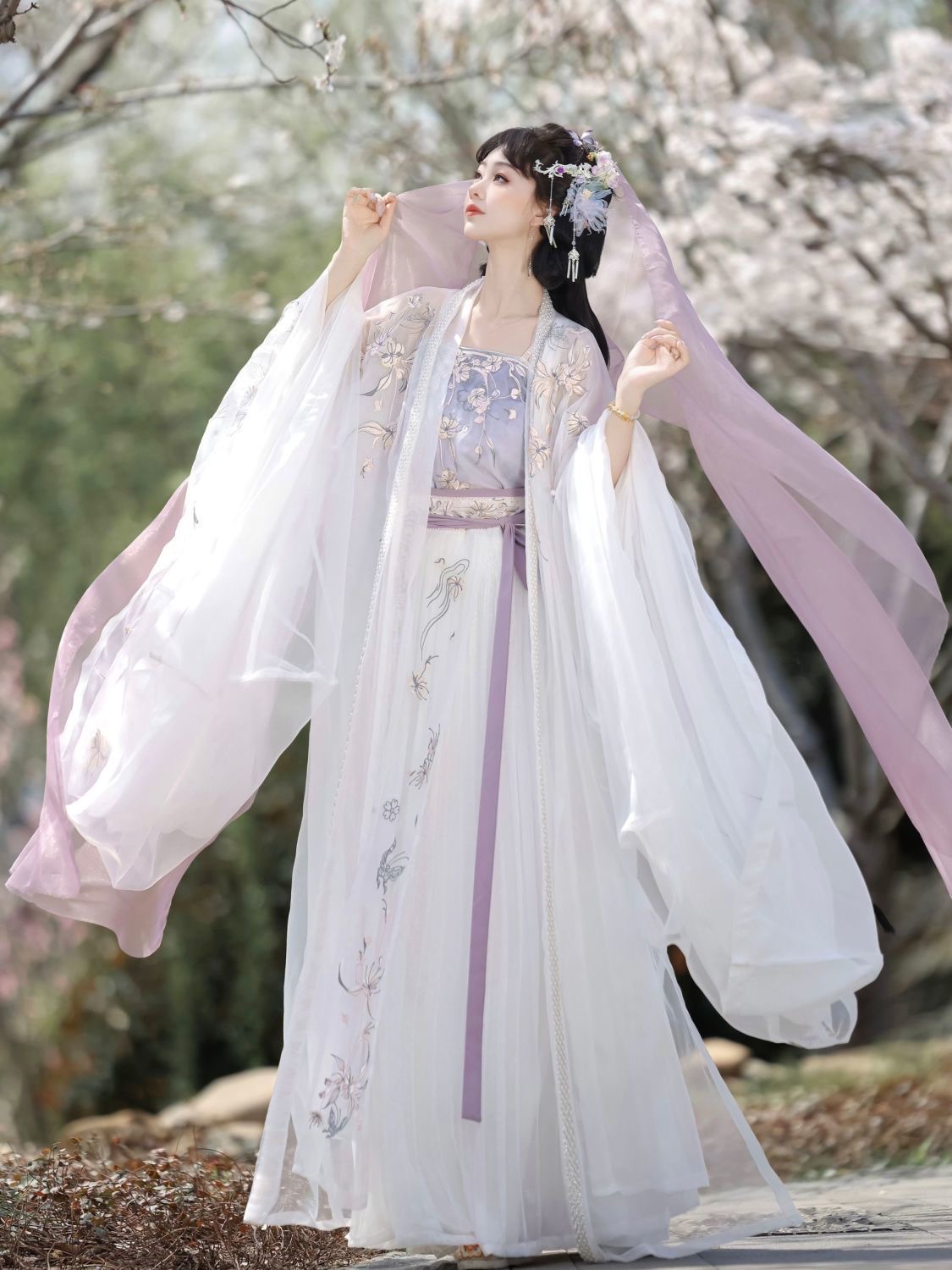 Elegant Traditional Hanfu Dress
