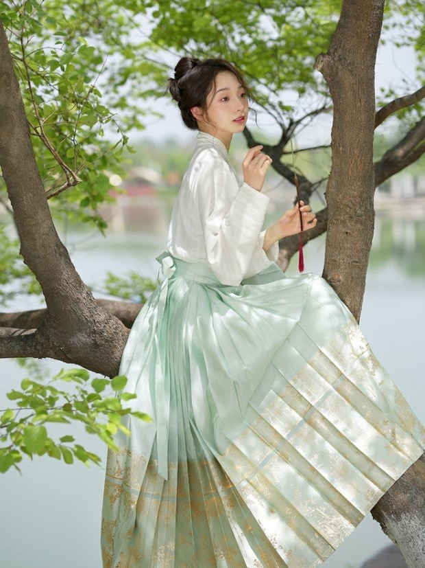 Traditional Hanfu Dress