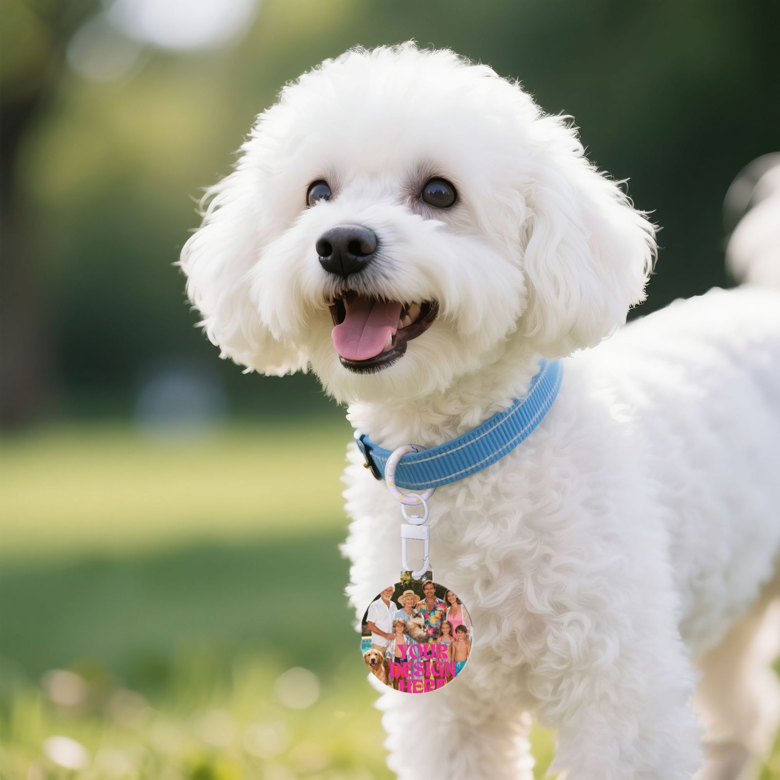 Personalized Dog Collar ID Tag