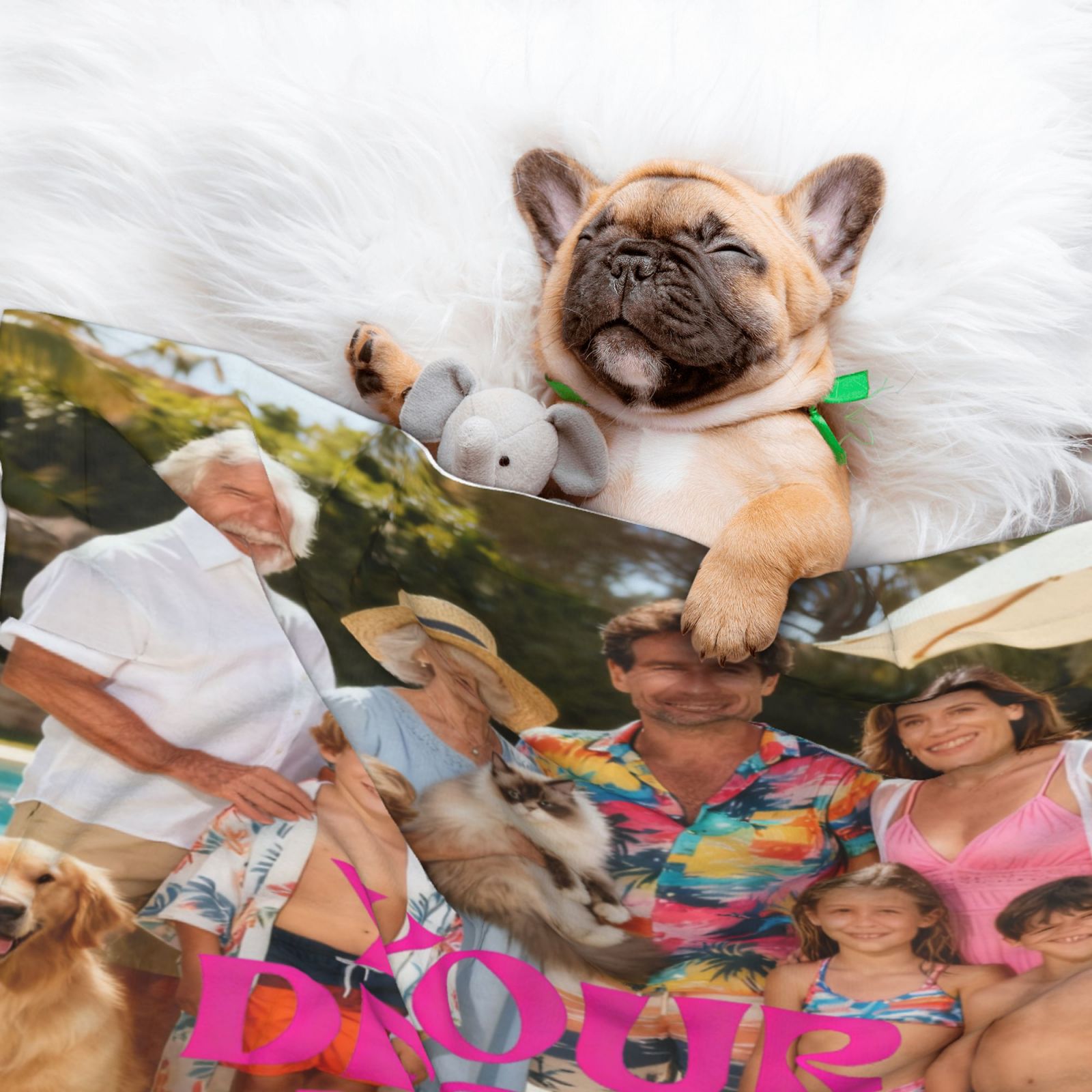 Sleepy French Bulldog Puppy