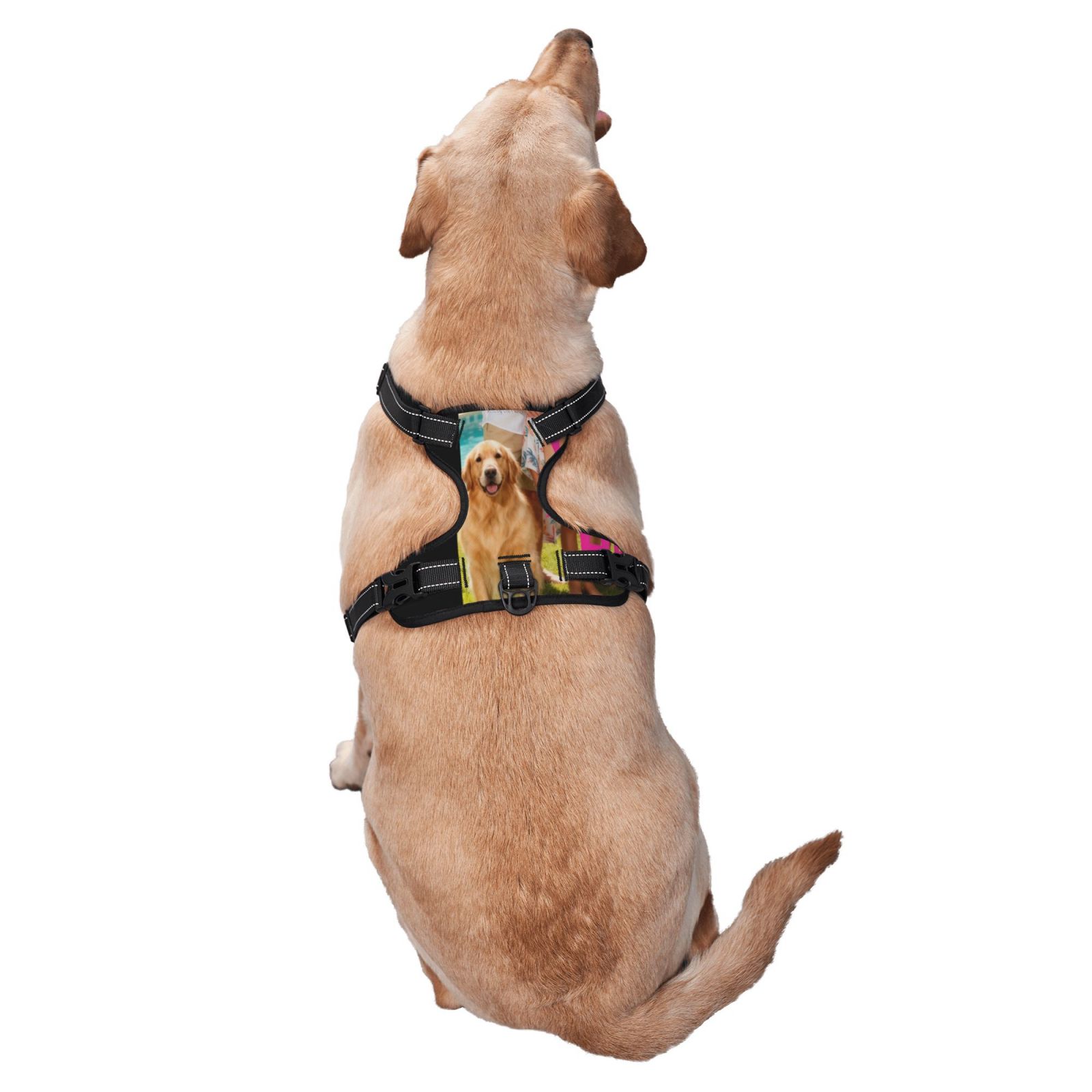 Adjustable No-Pull Dog Harness